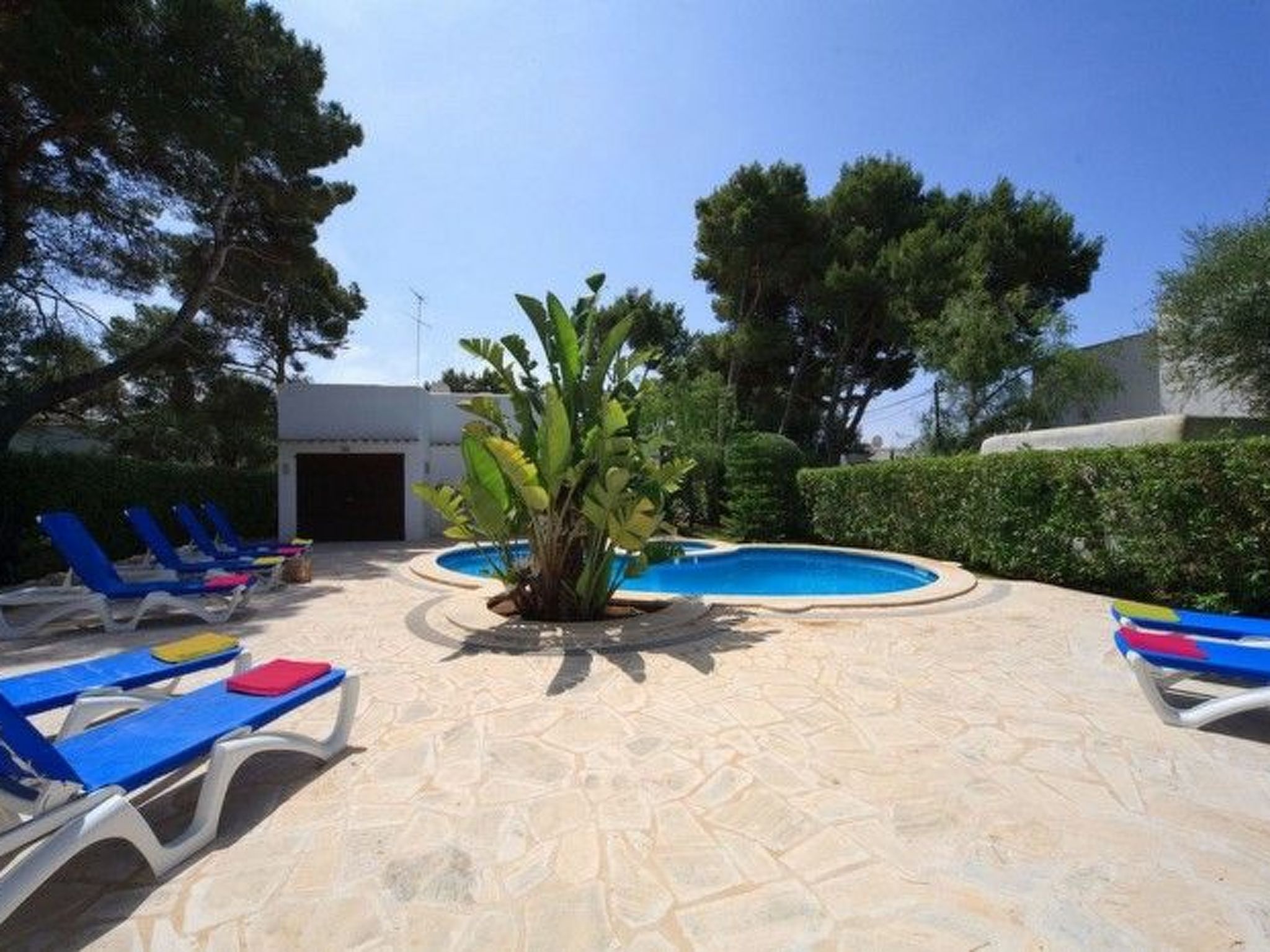 Marions-Image-tags.info