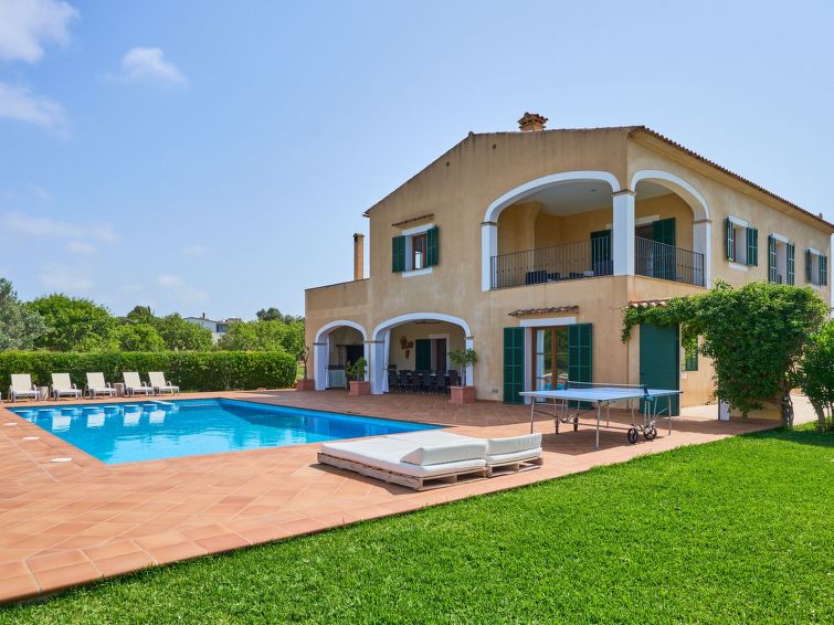 Fandango - Cala d'Or