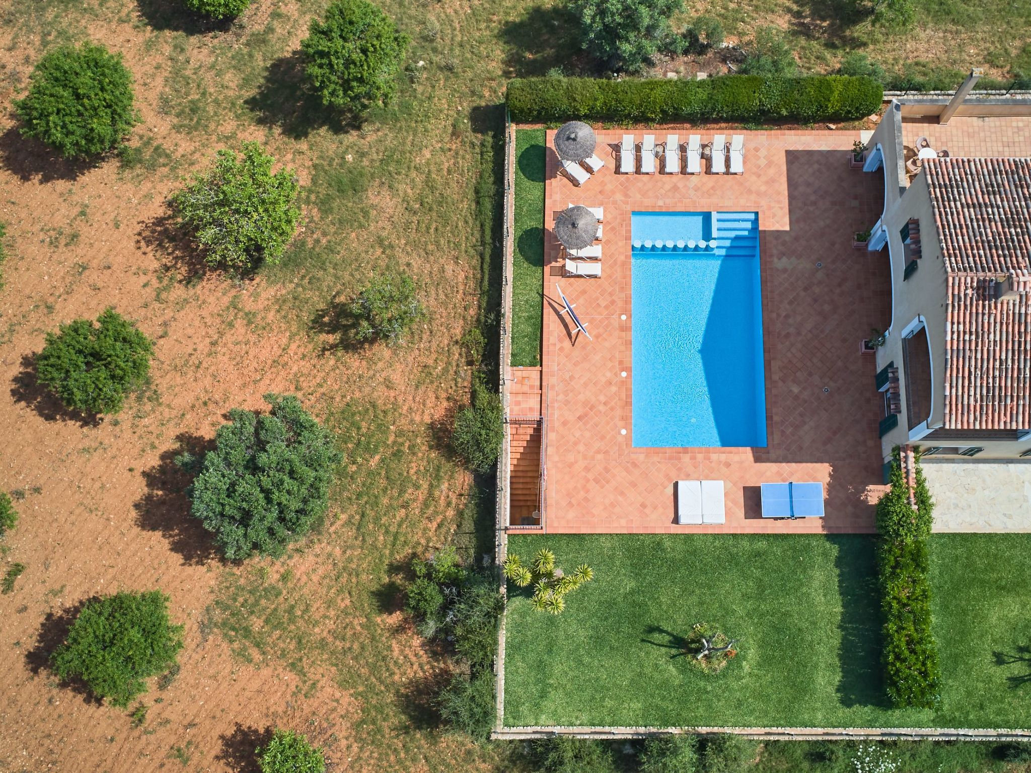 Fandango-Image-tags.info