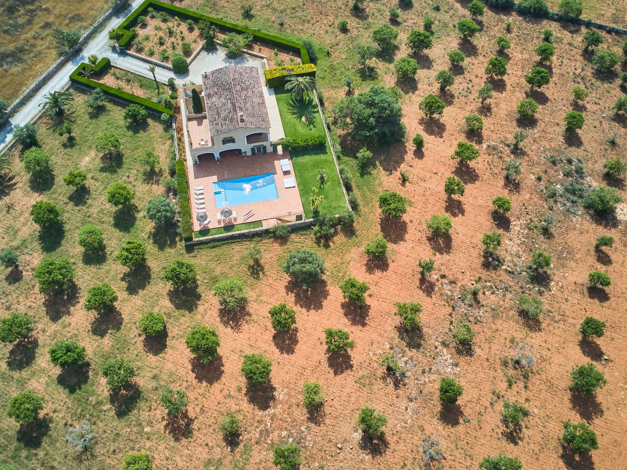 Fandango-Image-tags.info