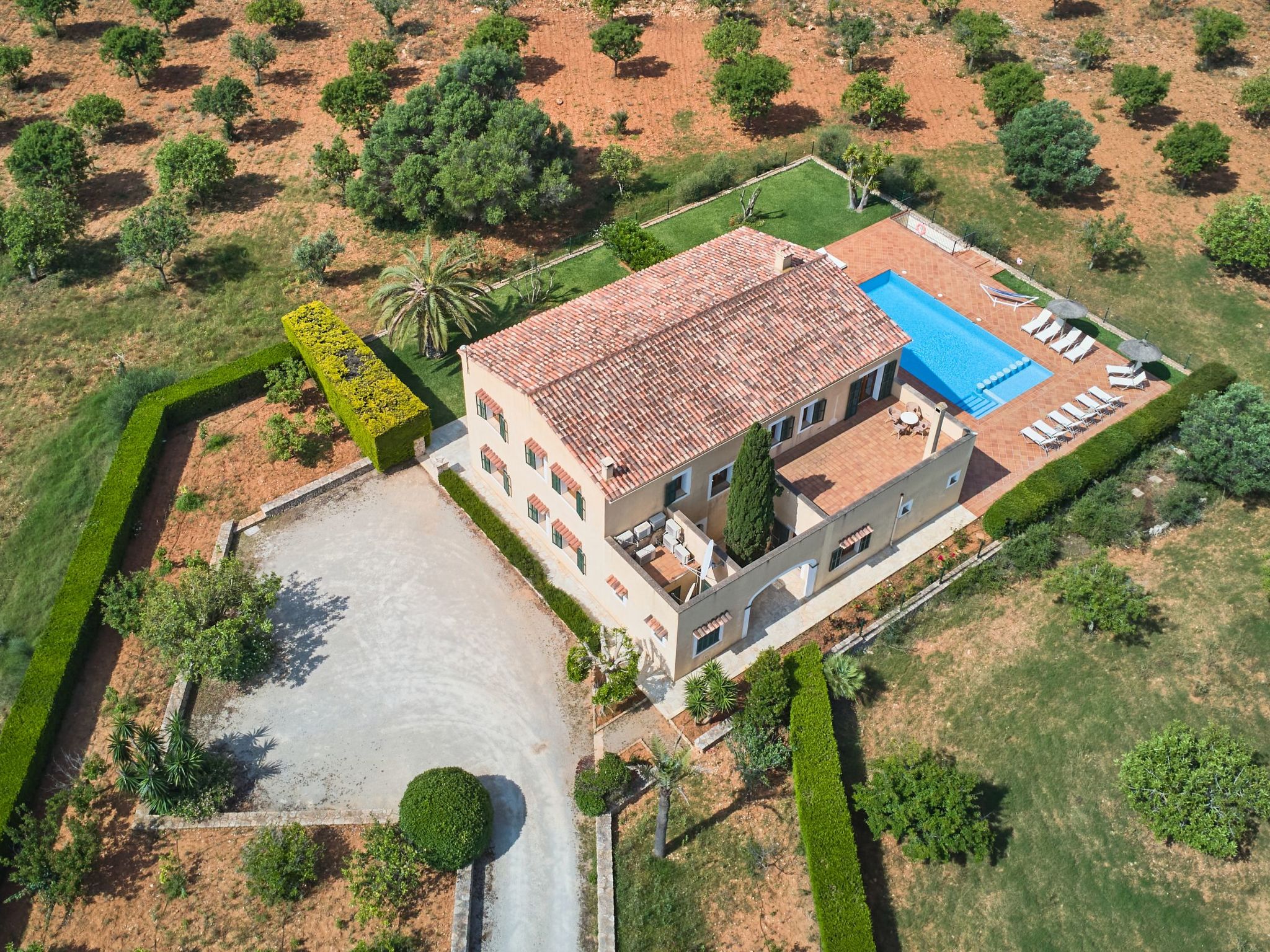 Fandango-Image-tags.info