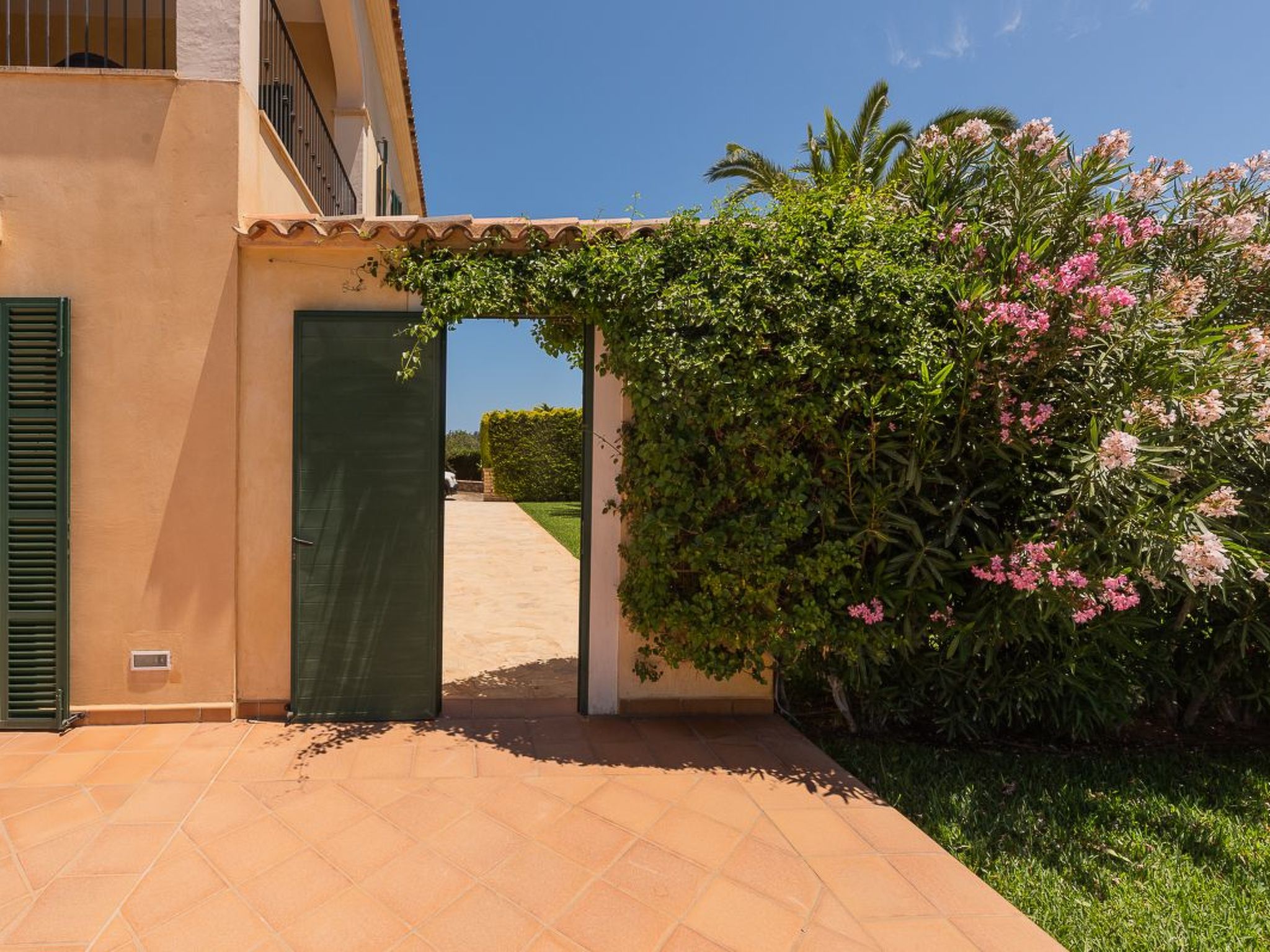 Fandango-Image-tags.info