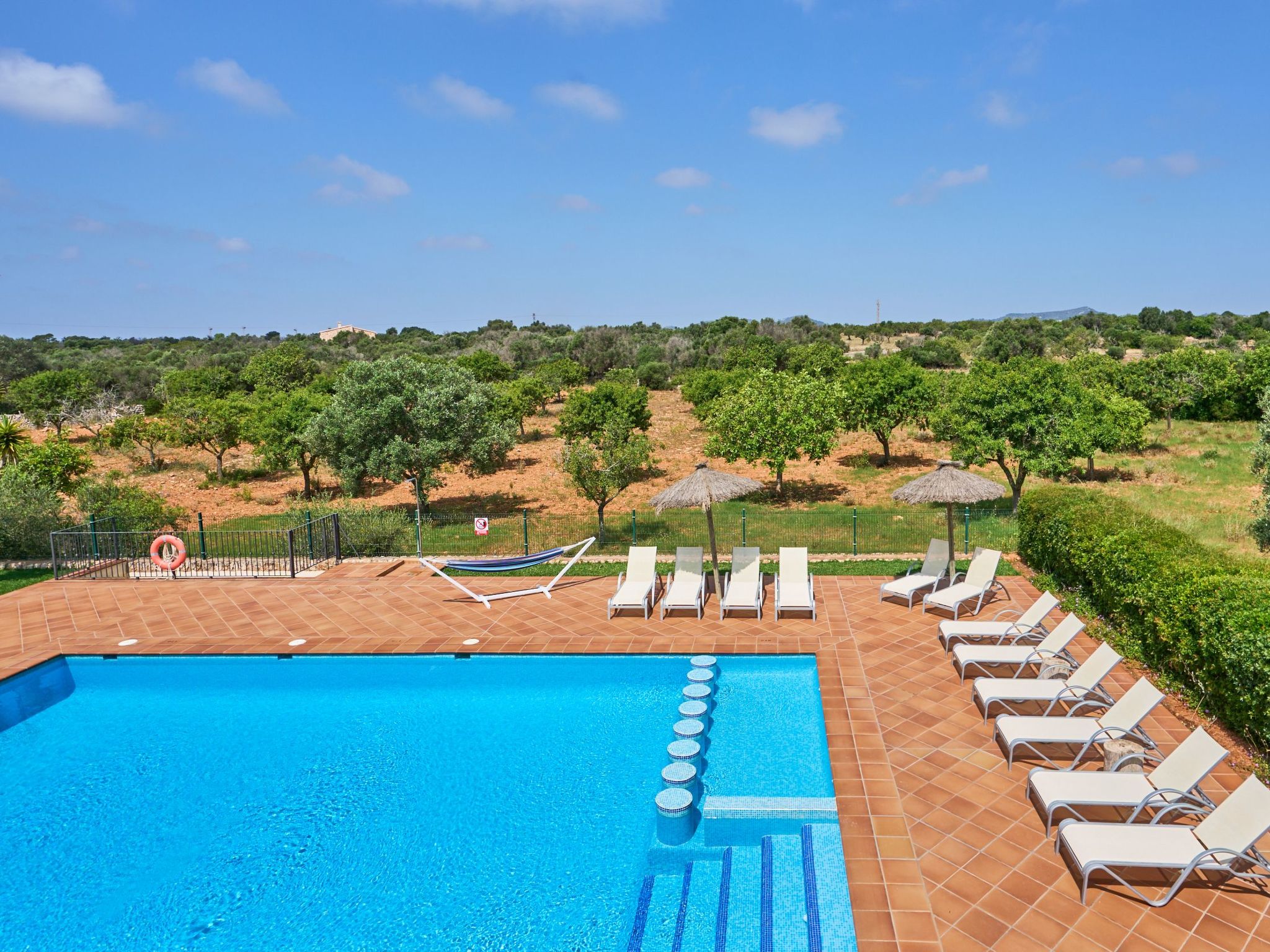 Fandango-Image-tags.info