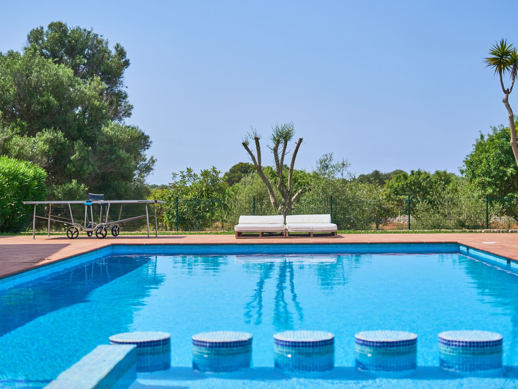 Fandango-Image-tags.info