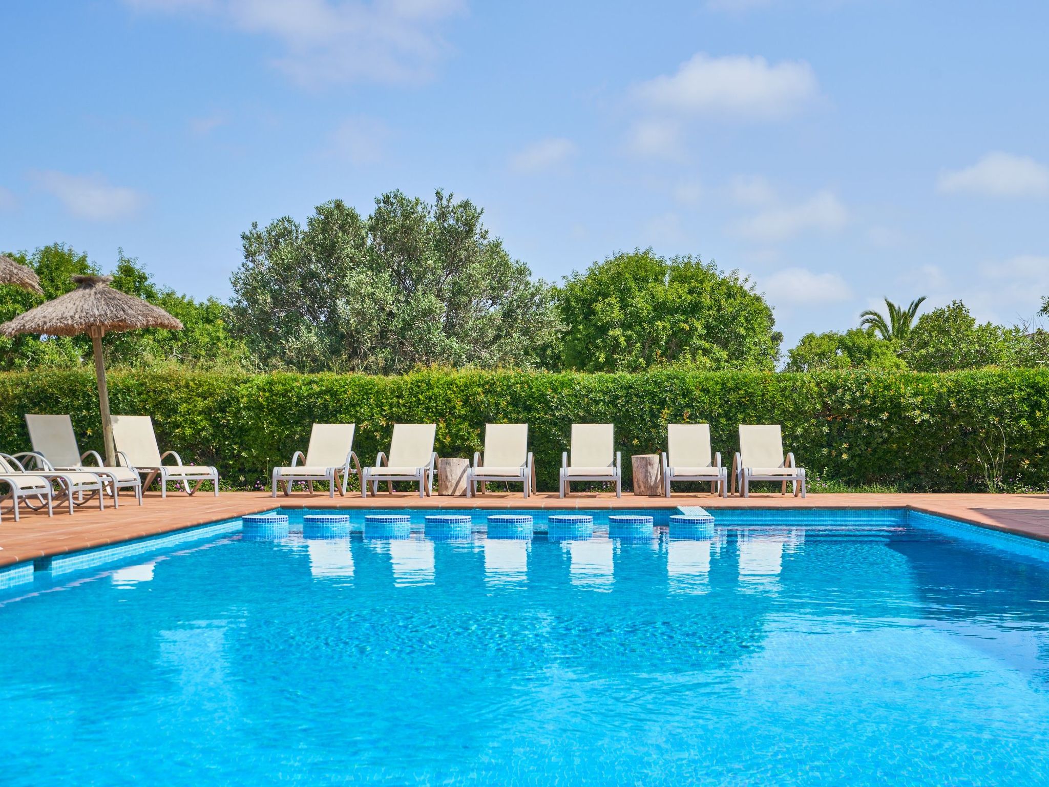 Fandango-Image-tags.info