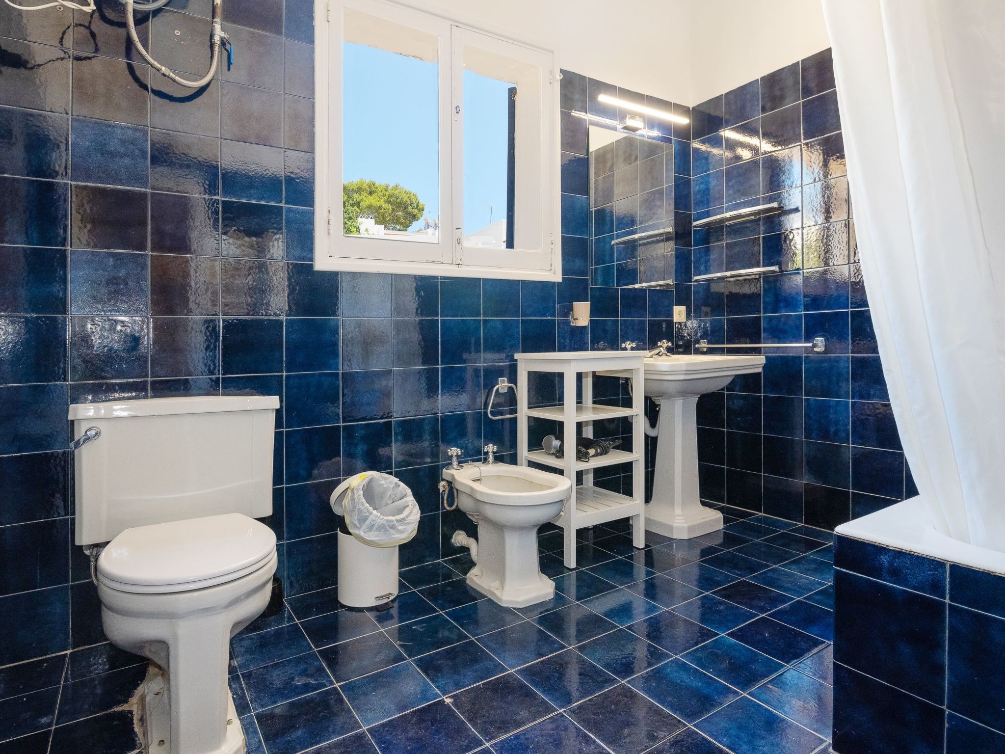 Almar-Image-tags.info