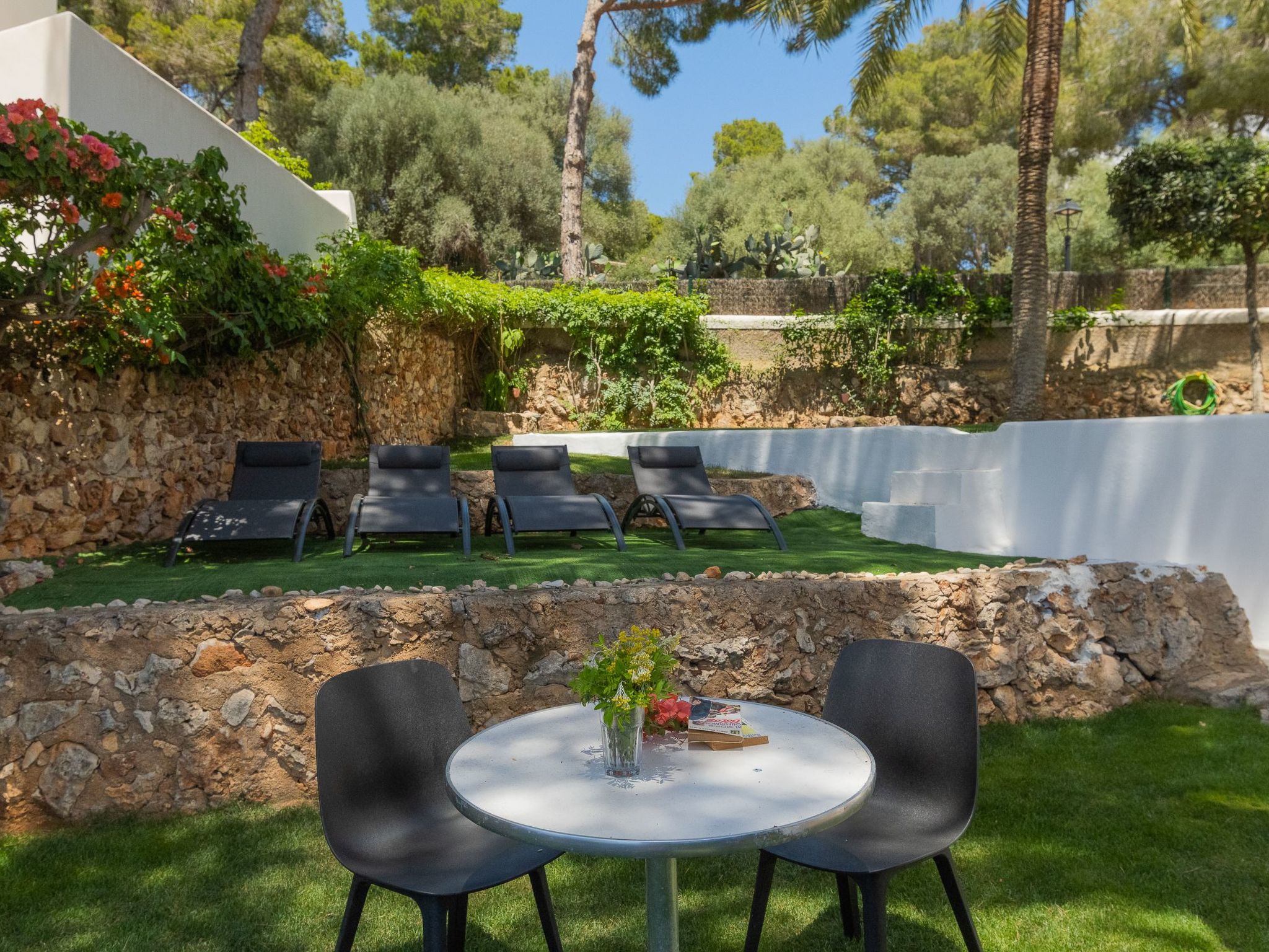 Almar-Image-tags.info