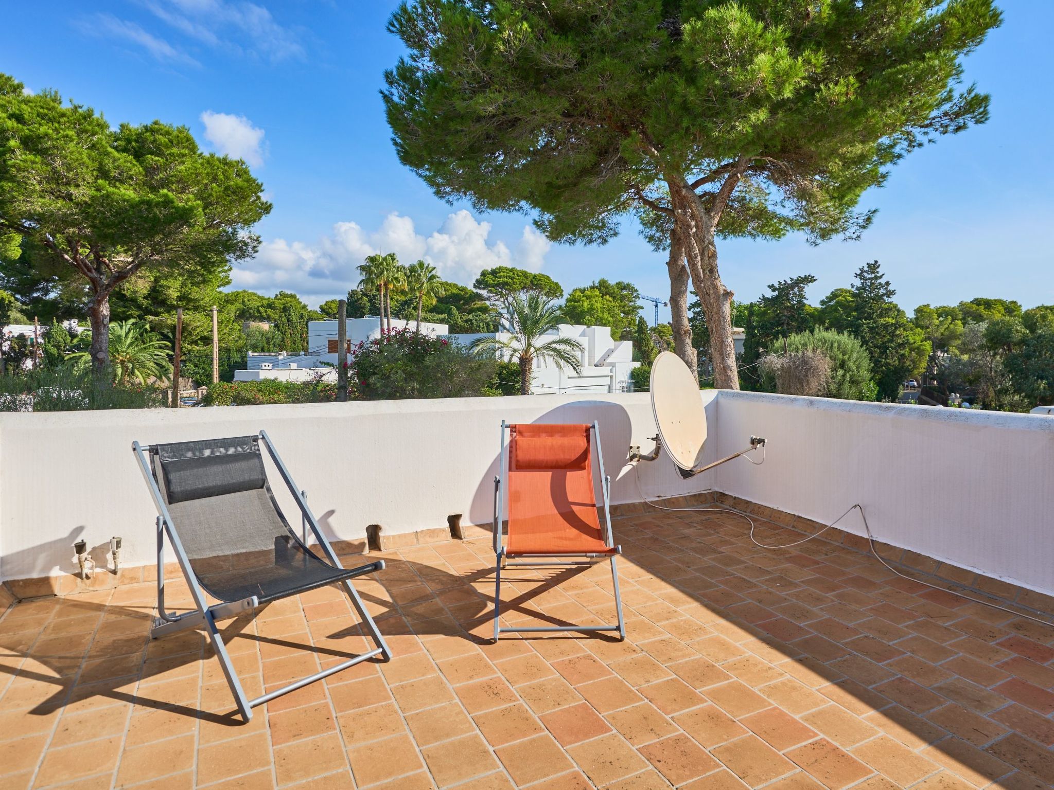 Ramina-Image-tags.info