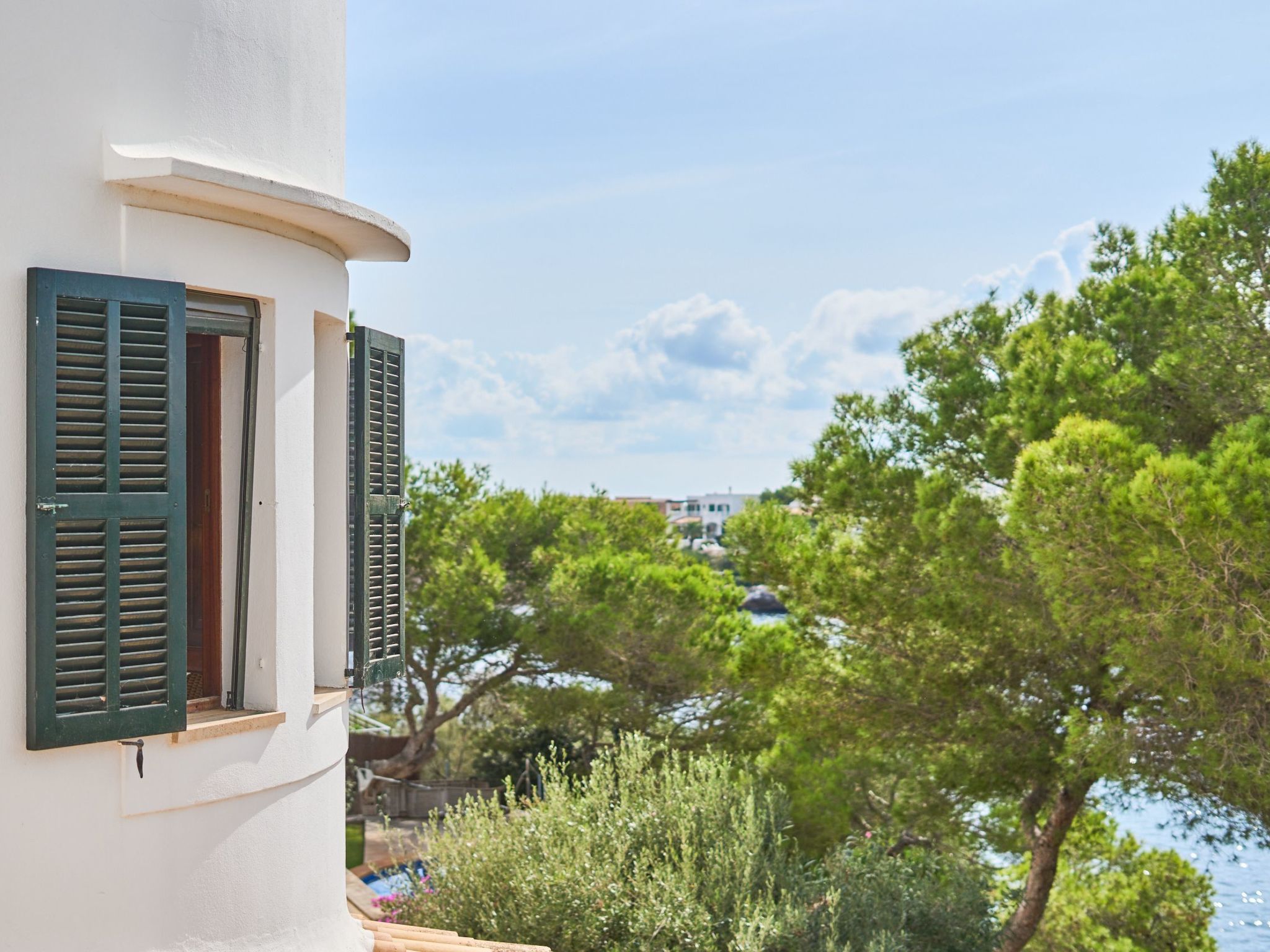 Ramina-Image-tags.info