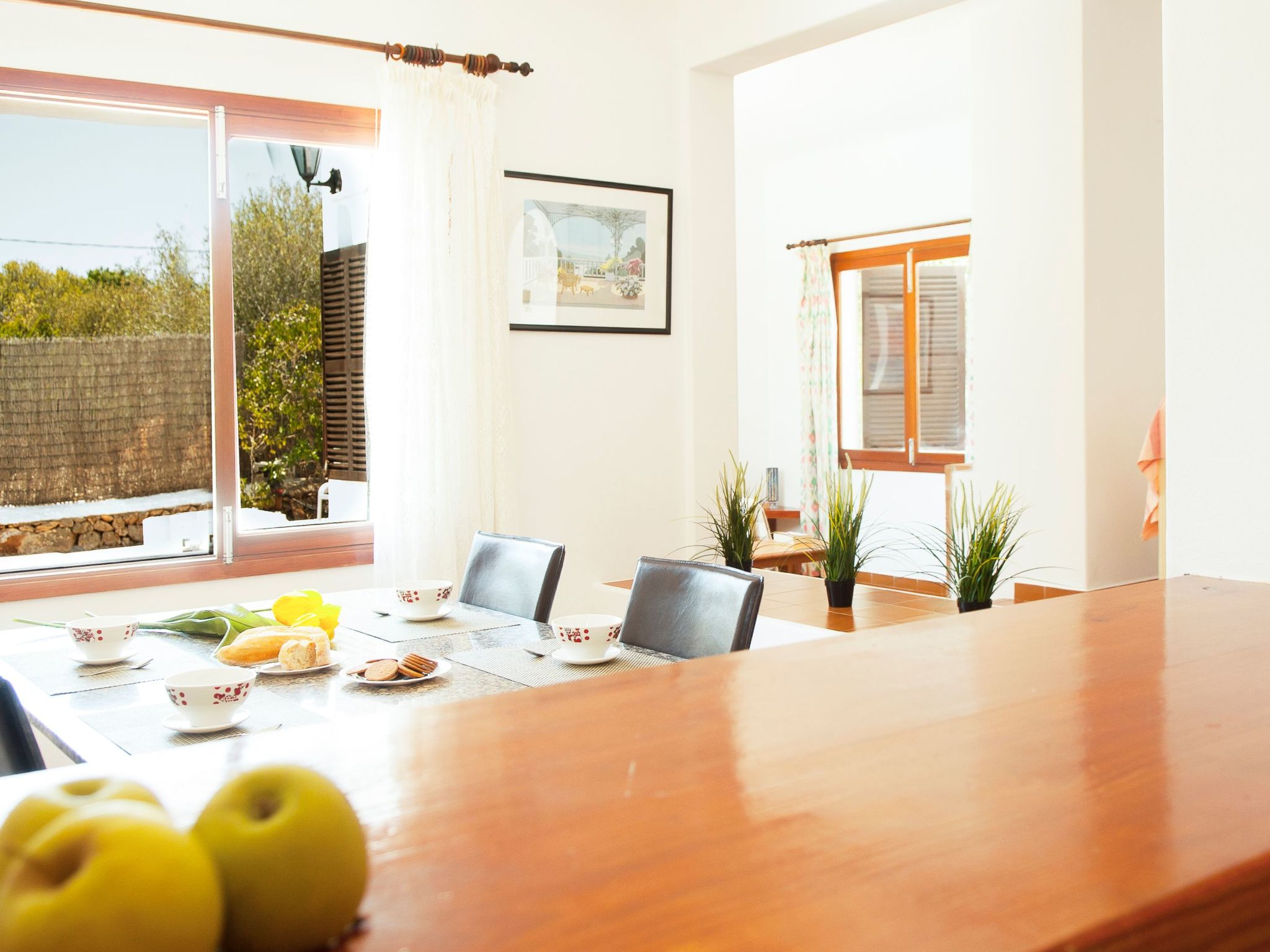 Solana-Image-tags.info