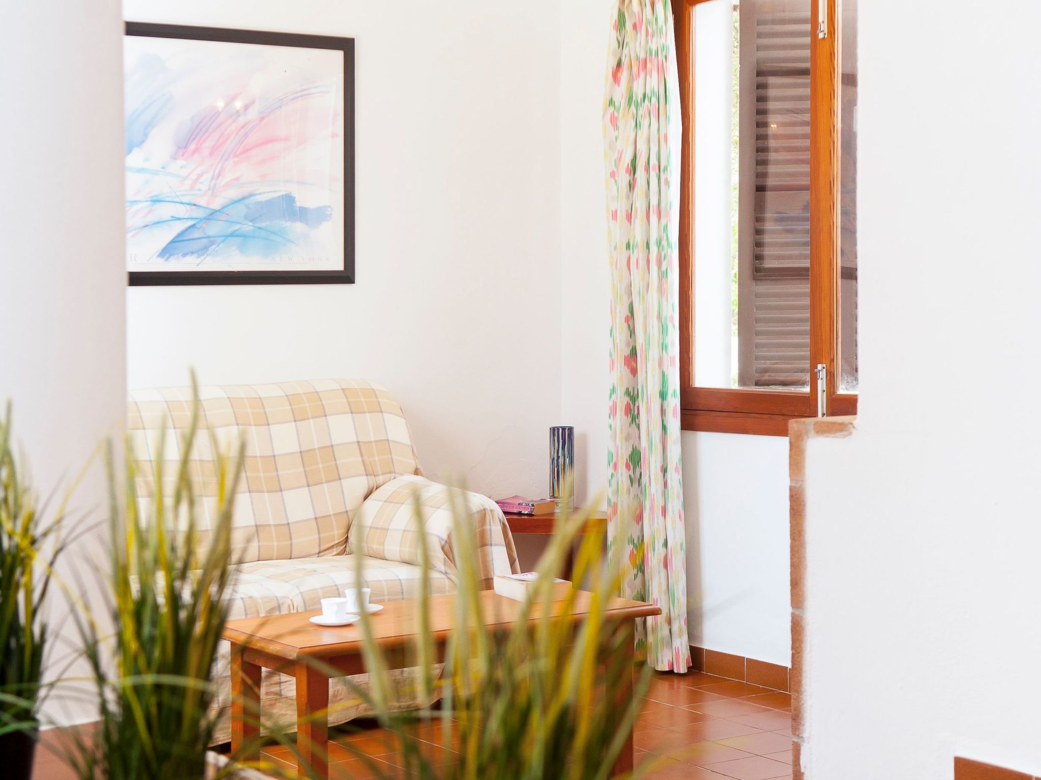 Solana-Image-tags.info