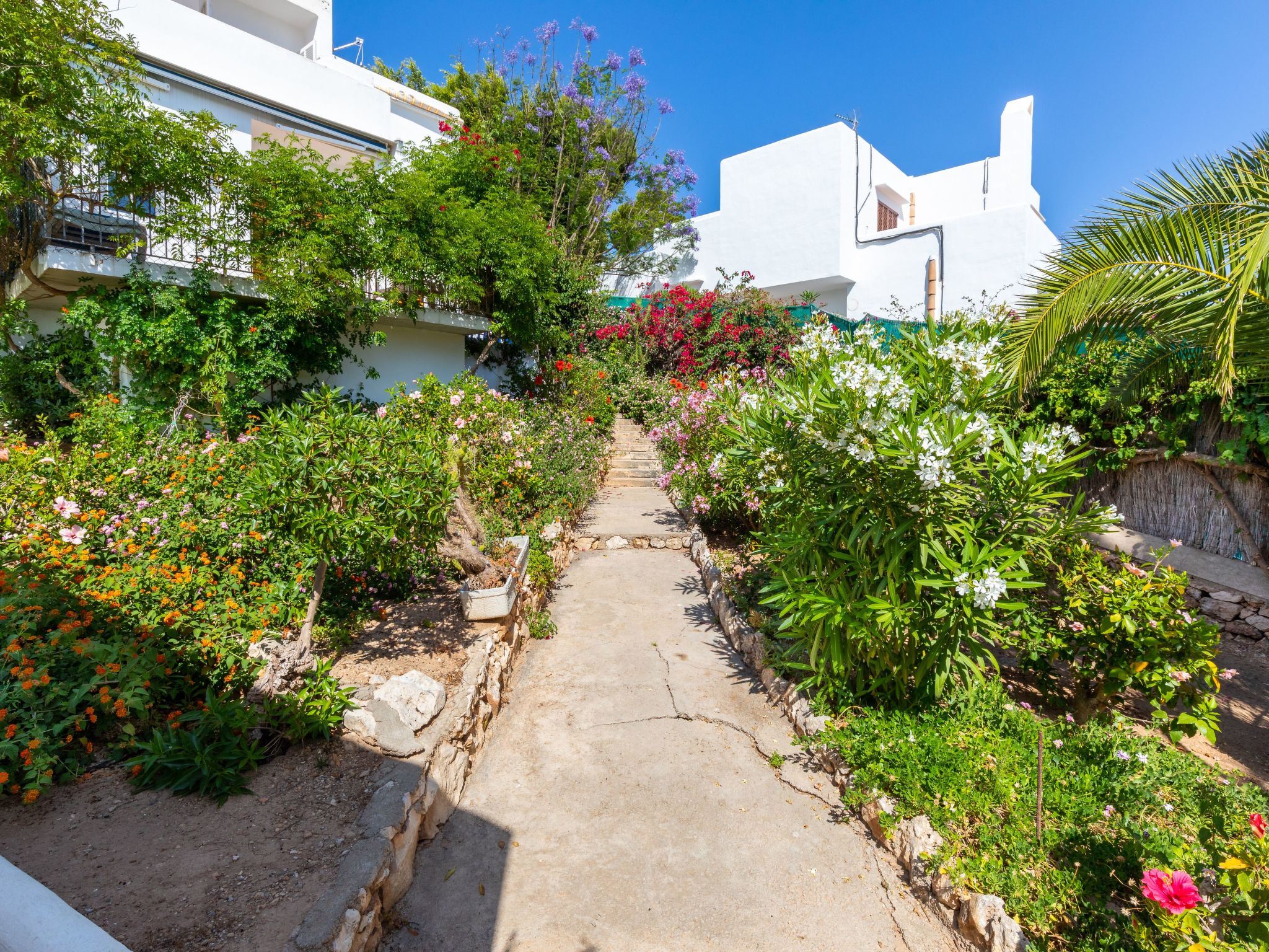 Playa Dor 18-Image-tags.info