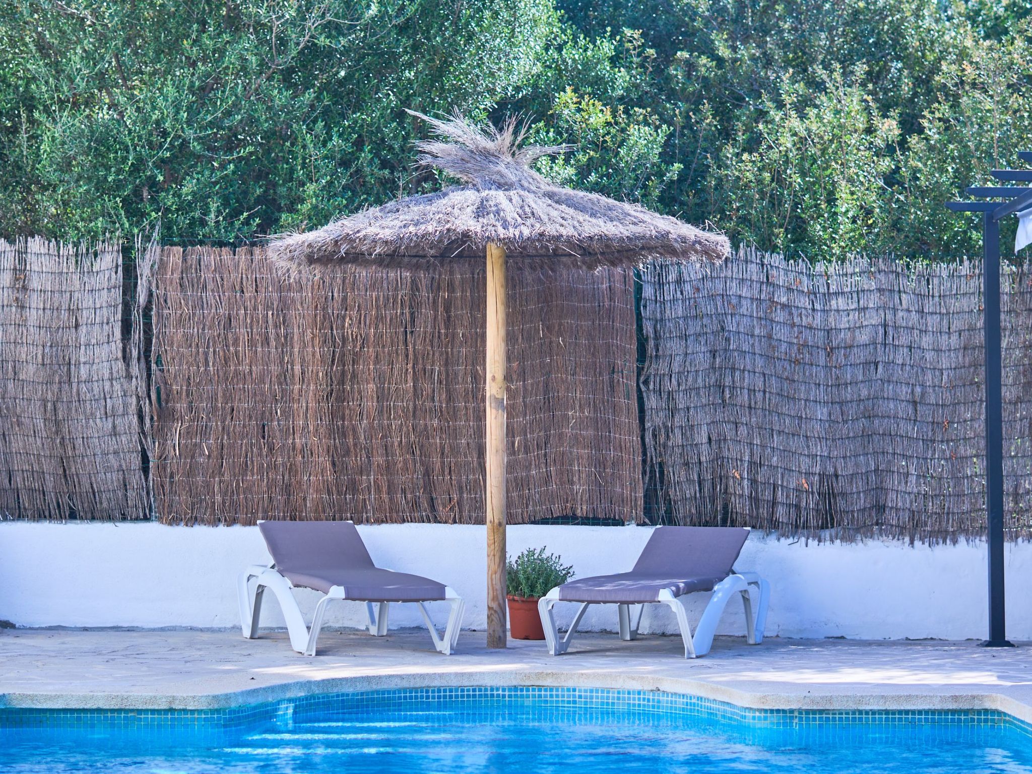 Fleming-Image-tags.info