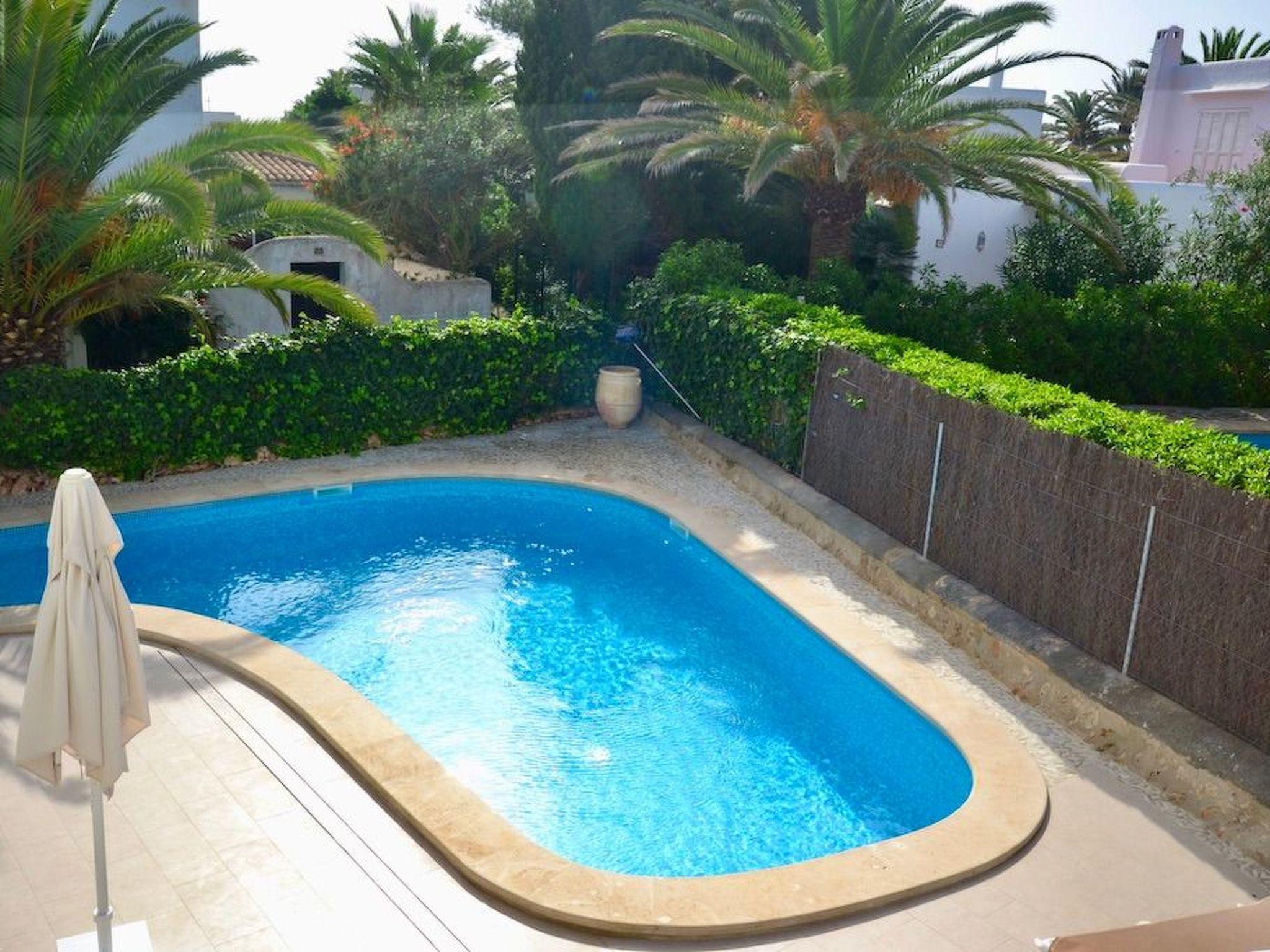 Esmeralda-Image-tags.info