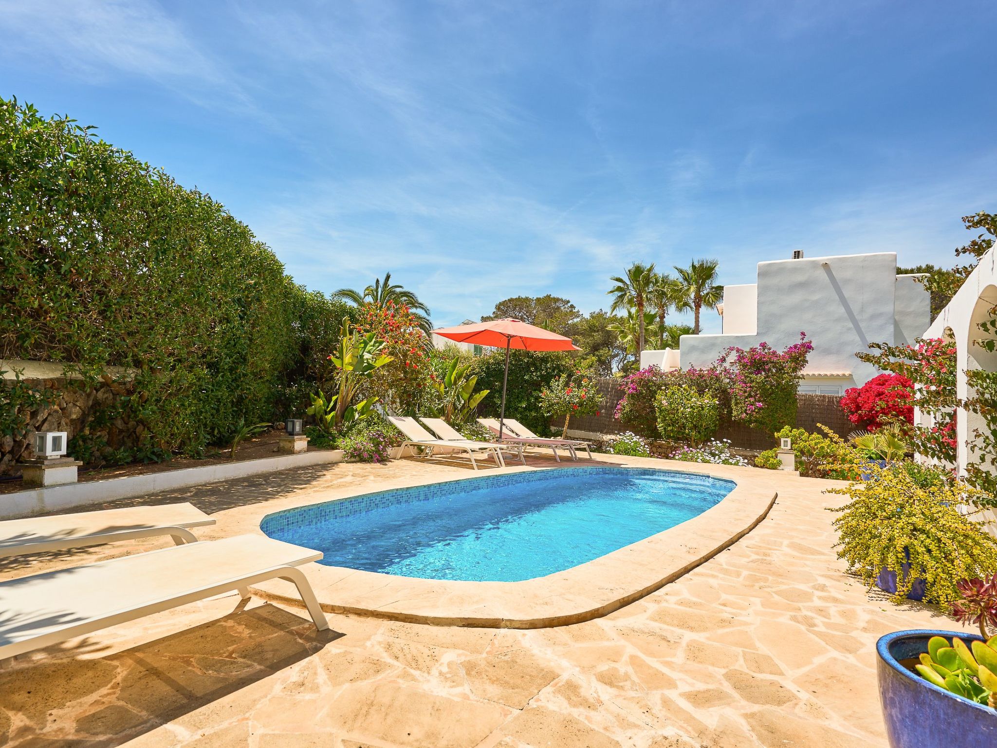 Brusc-Image-tags.info