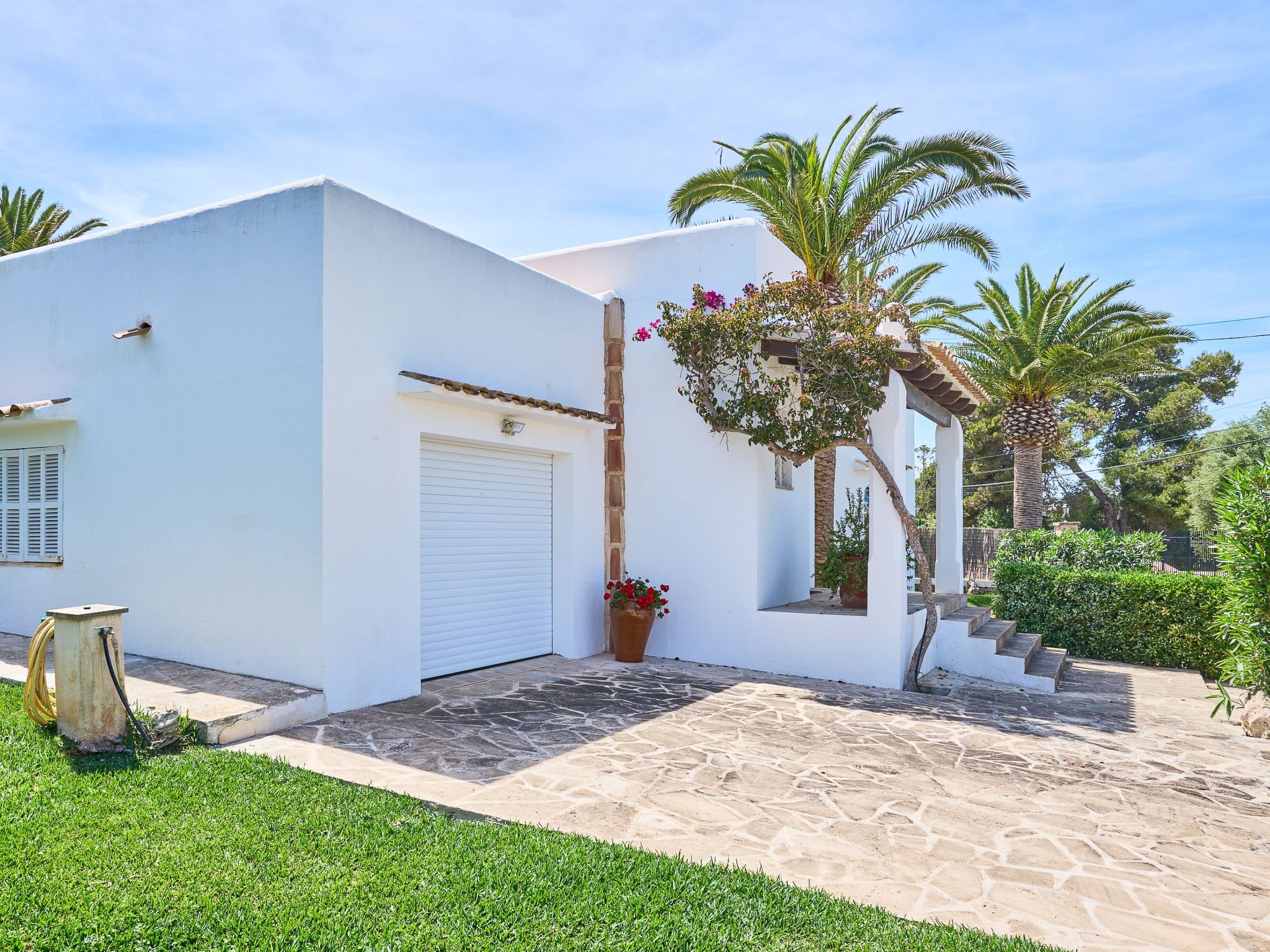 Brusc-Image-tags.info