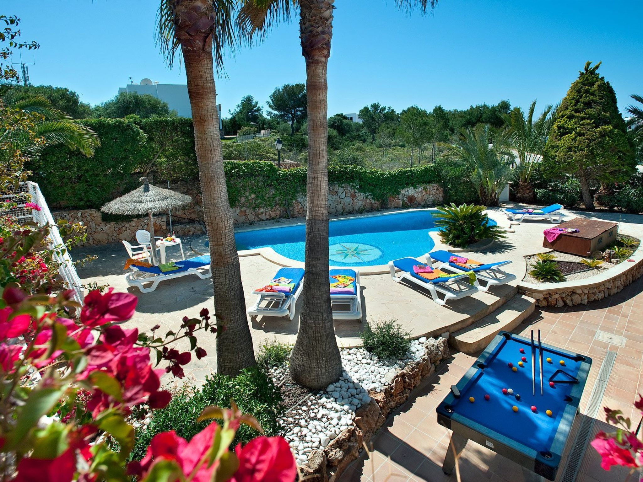 Hortet-Image-tags.info