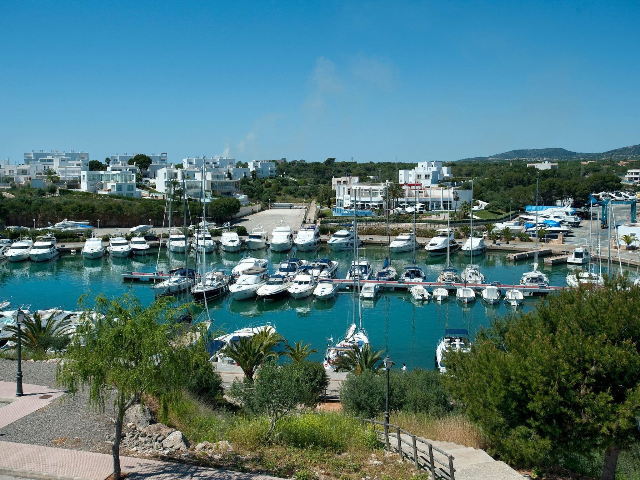 Hortet-Image-tags.info