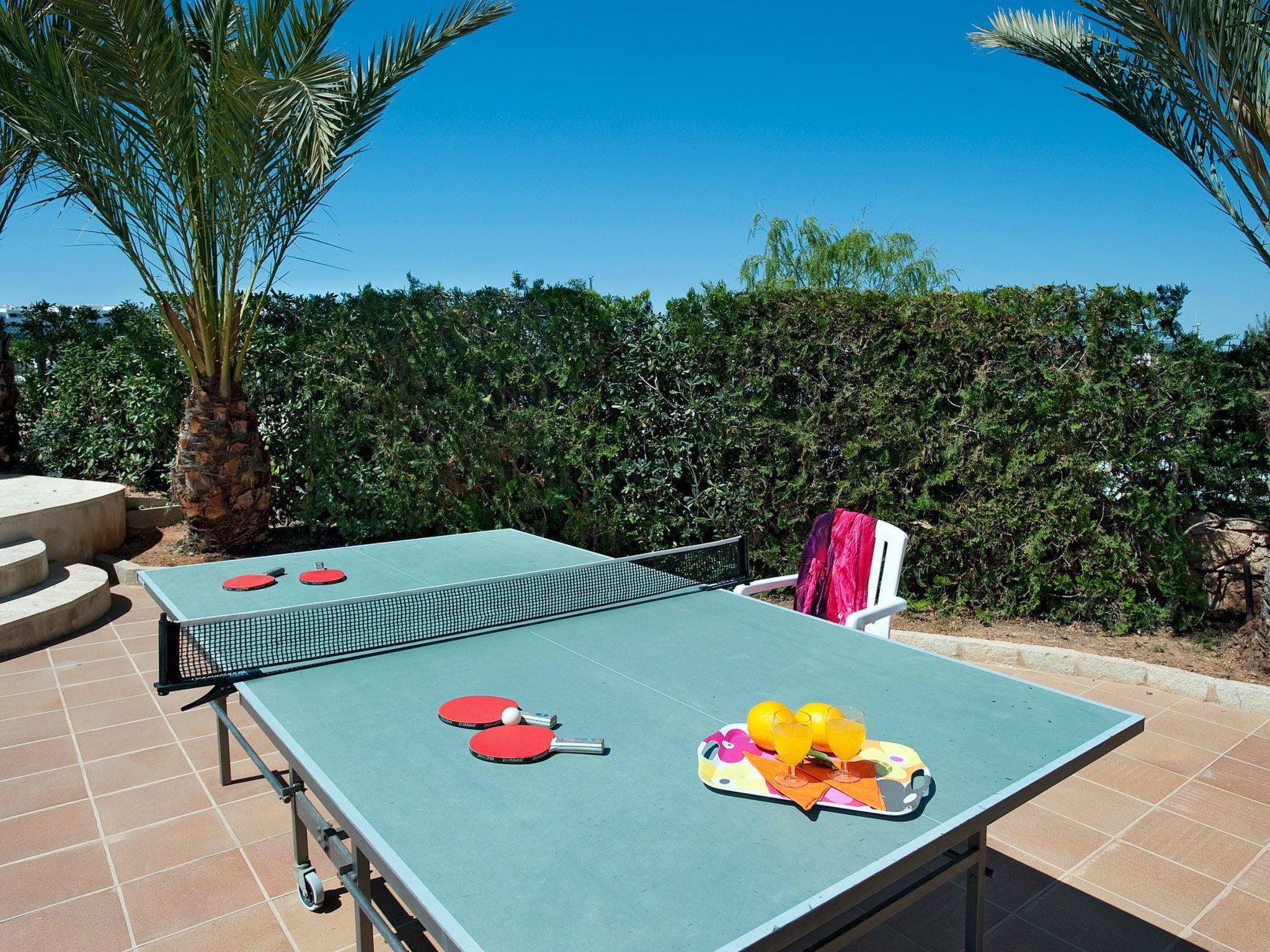 Hortet-Image-tags.info