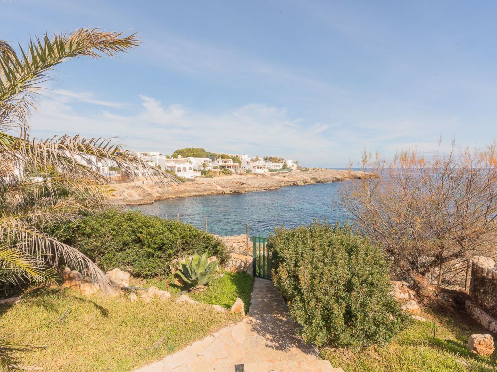 Forti 101-Image-tags.info