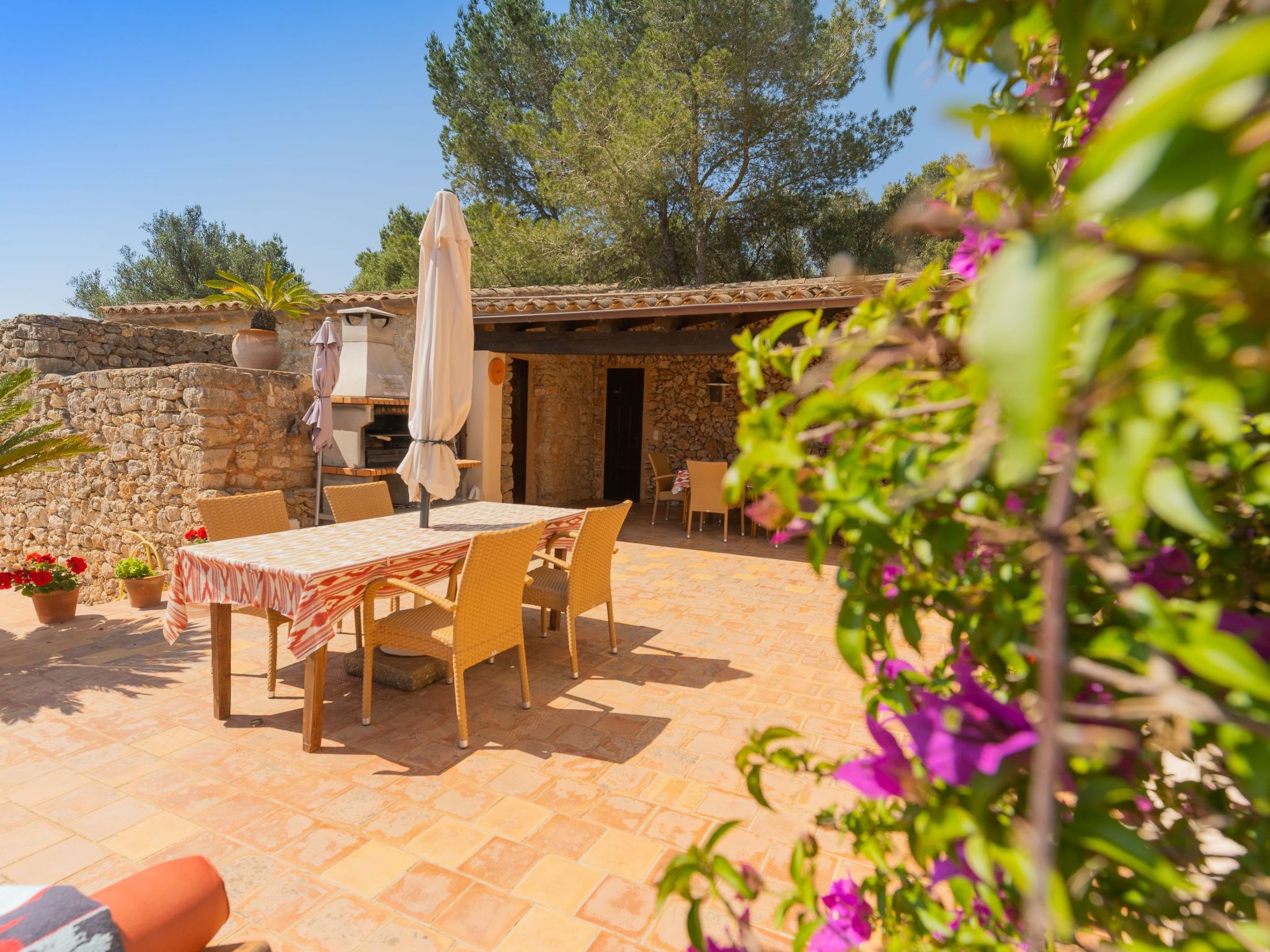 Vallaca-Image-tags.info