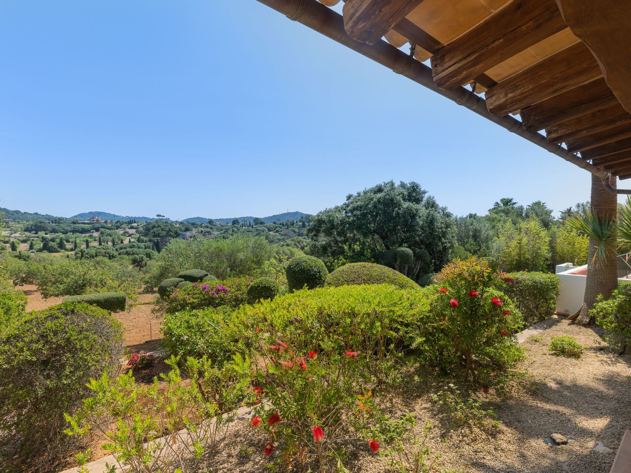 Vallaca-Image-tags.info