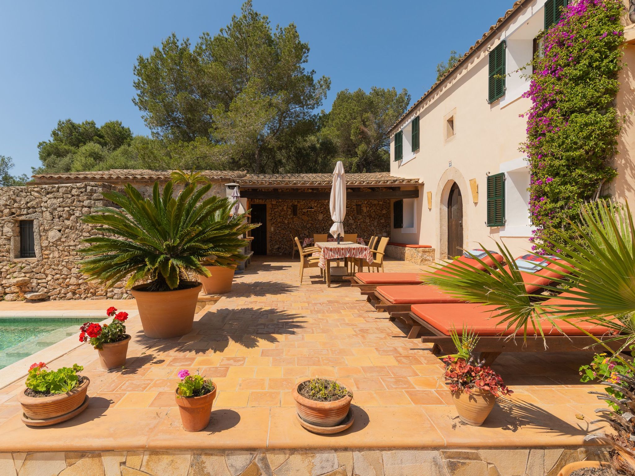 Vallaca-Image-tags.info