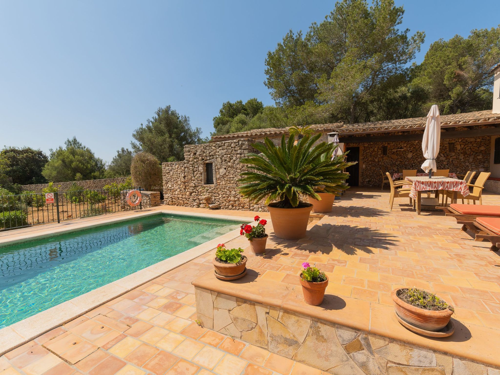 Vallaca-Image-tags.info