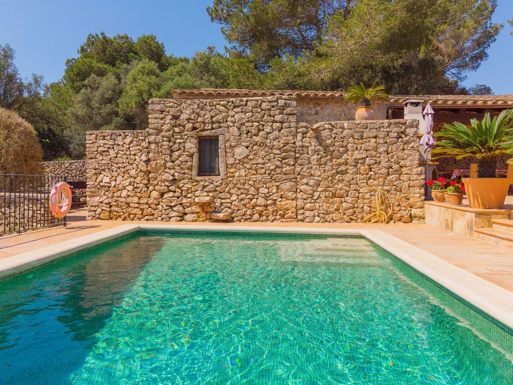 Vallaca-Image-tags.info