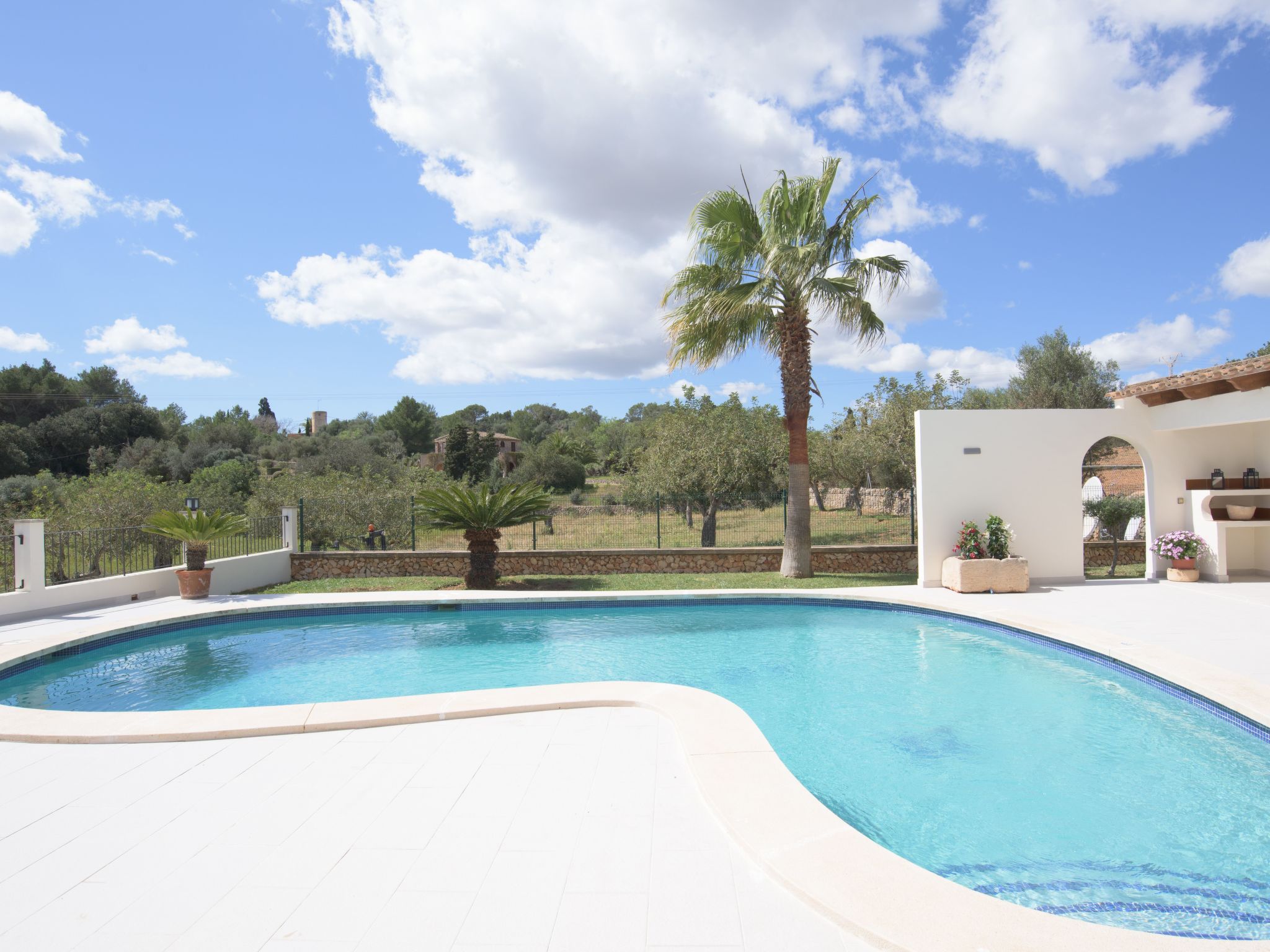 Batlet-Image-tags.info