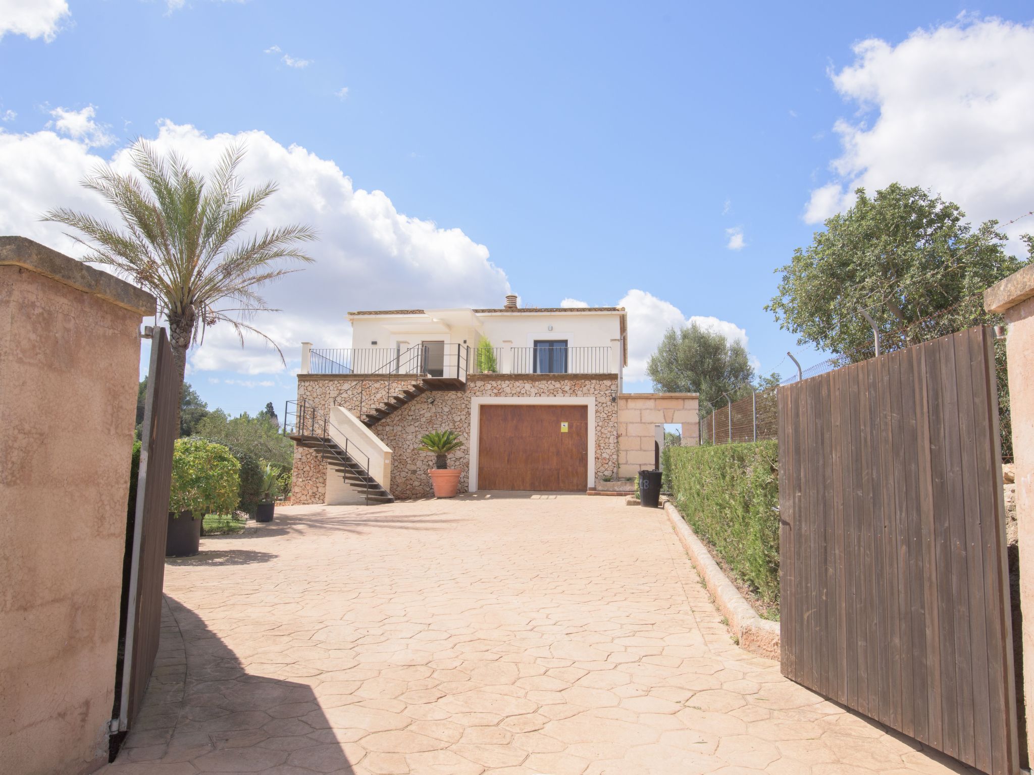 Batlet-Image-tags.info