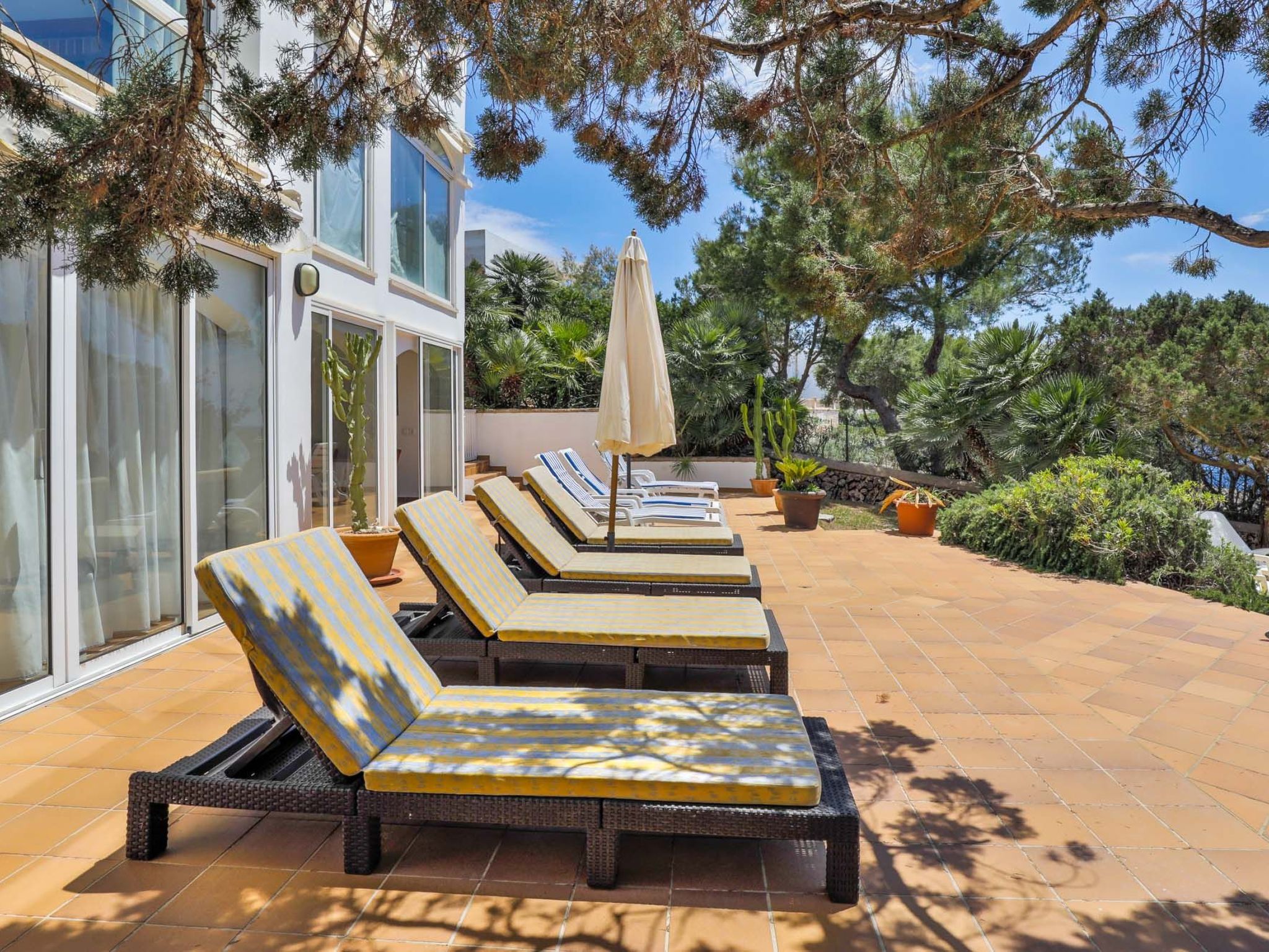 Egos 89-Image-tags.info