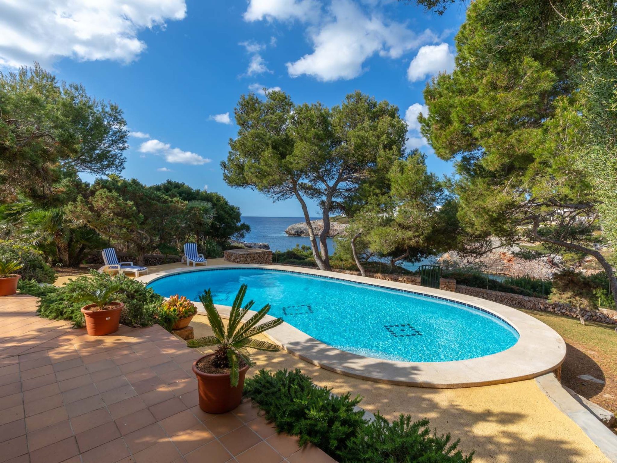 Egos 89-Image-tags.info