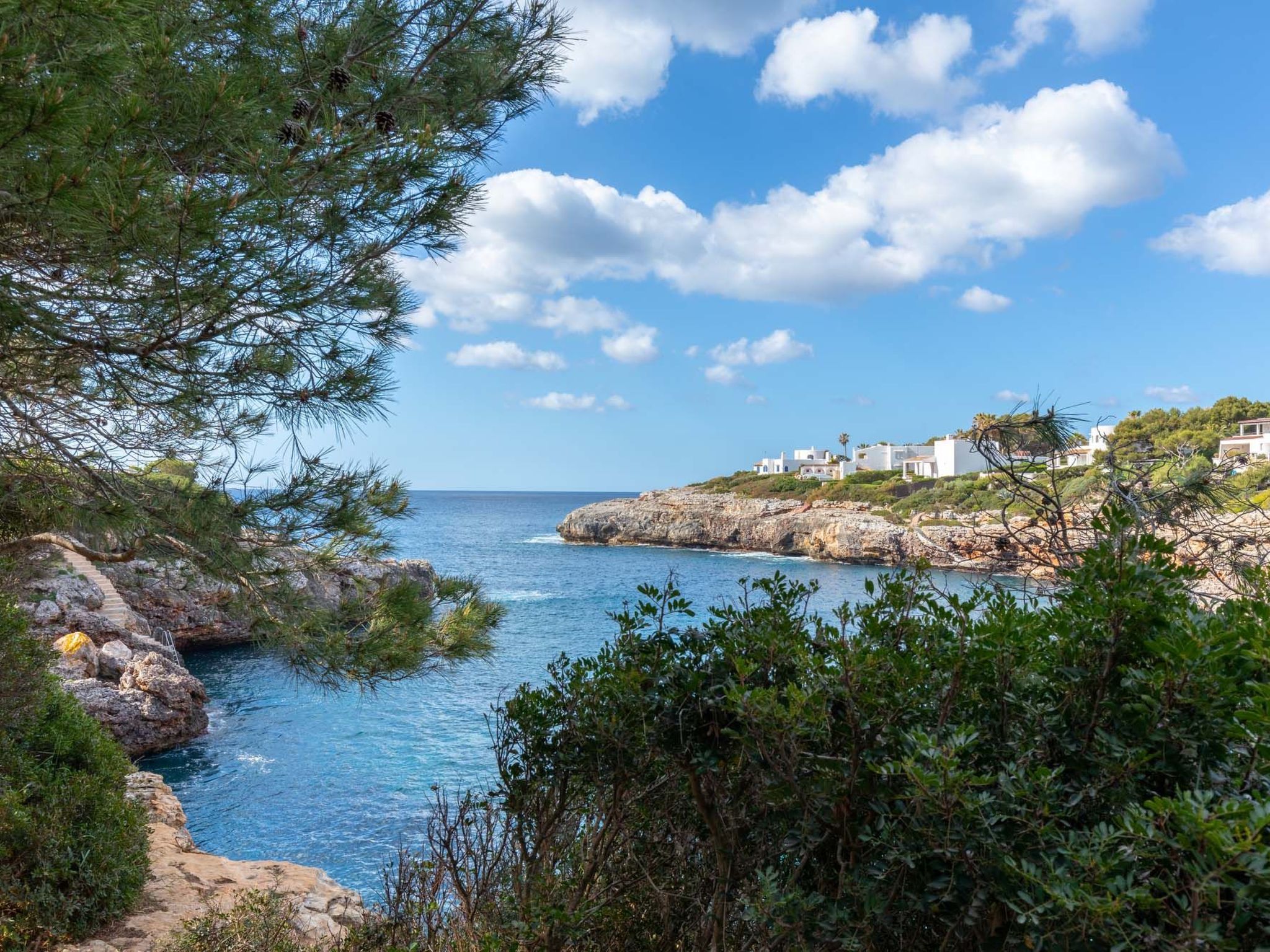 Egos 89-Image-tags.info