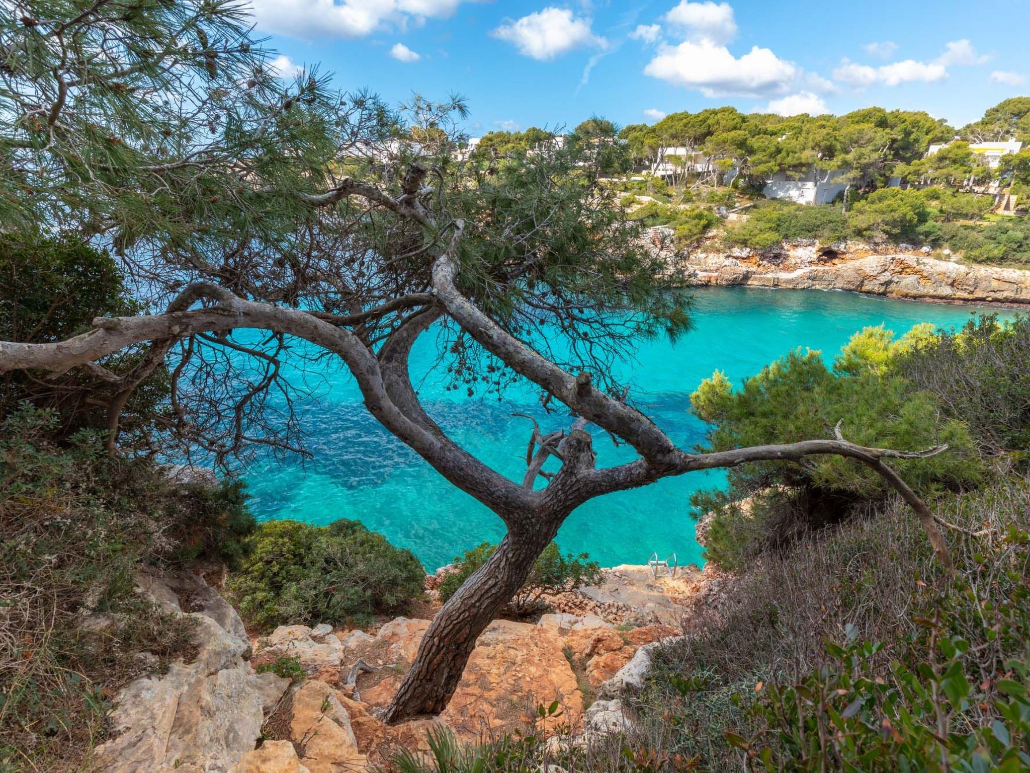 Egos 89-Image-tags.info