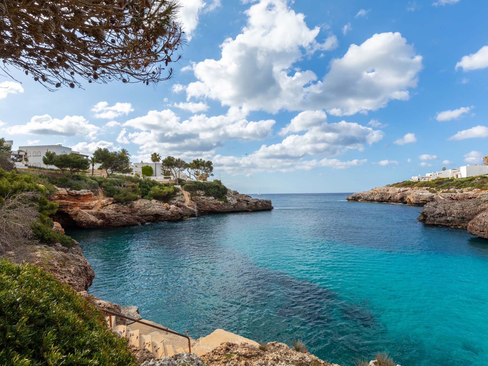 Egos 89-Image-tags.info