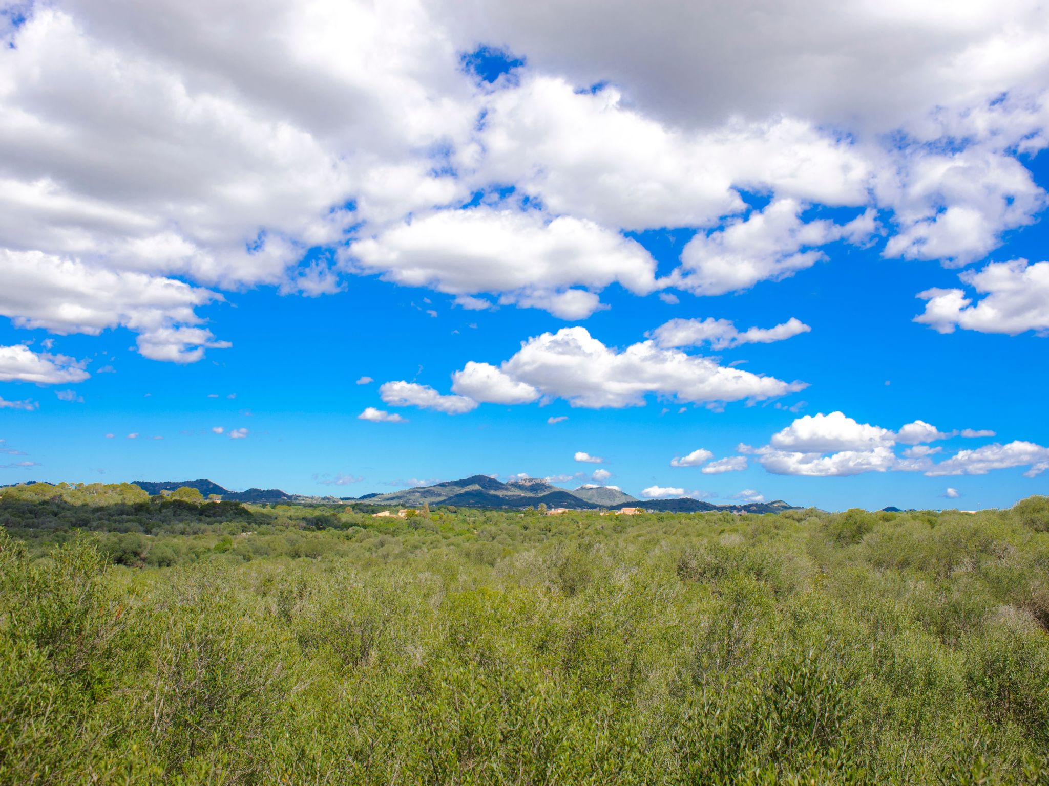 Pleta de Sa Punta-Image-tags.info