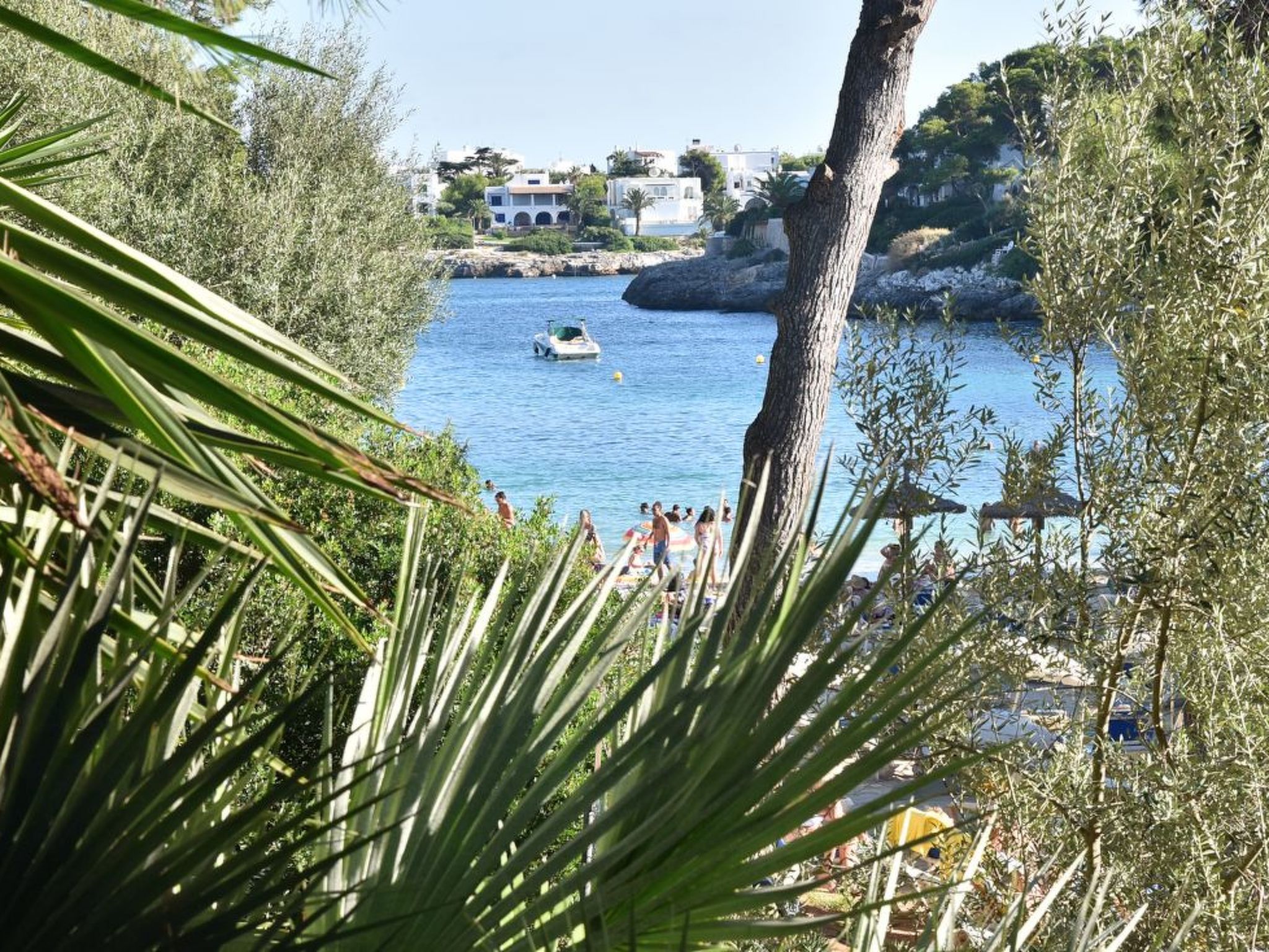 Arran de Mar-Image-tags.info