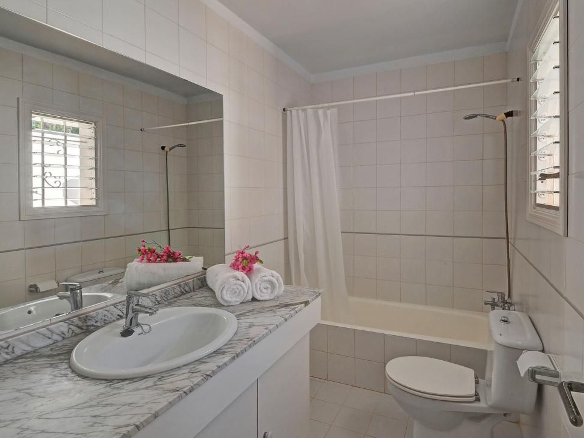 Vistamar-Image-tags.info