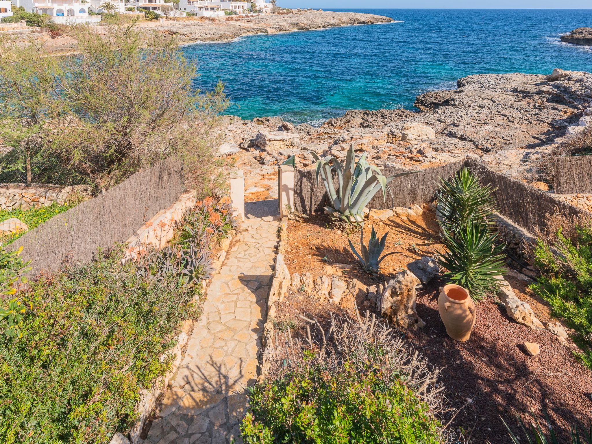 Felice-Image-tags.info