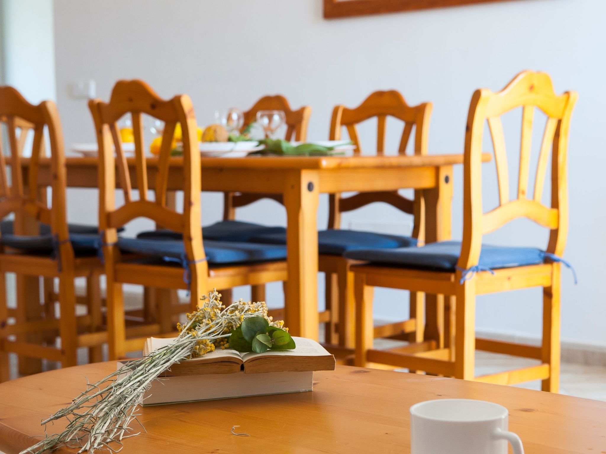 Playa Dor 17-Image-tags.info