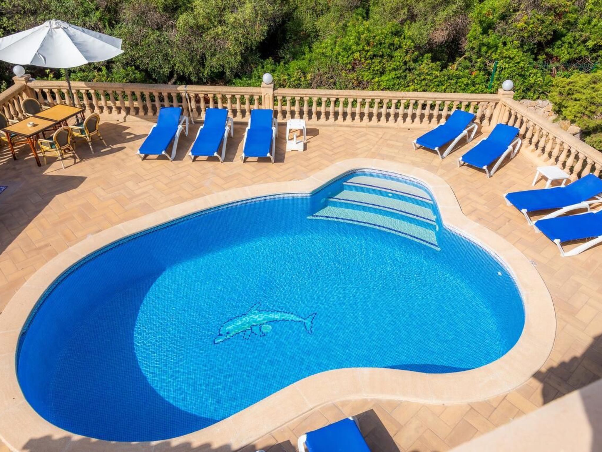 Marta-Image-tags.info