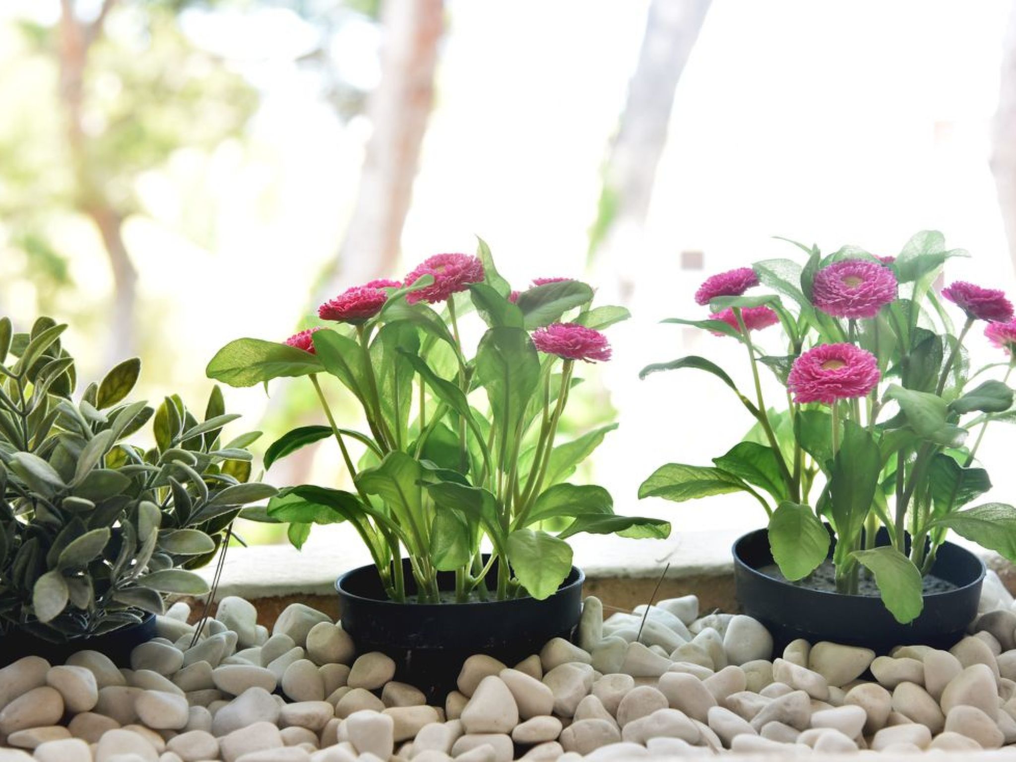 Neu renoviertes, modernes Apartment für 4 Personen, direkt an der Cala Ferrera-Image-tags.info