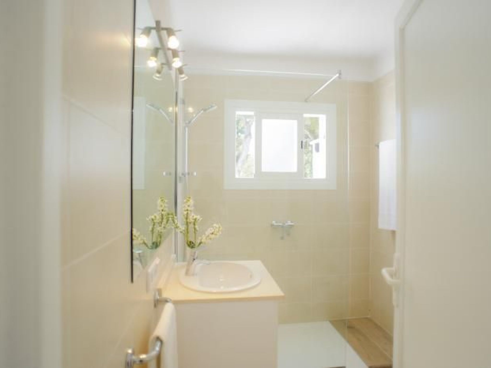 Pineda-Image-tags.info