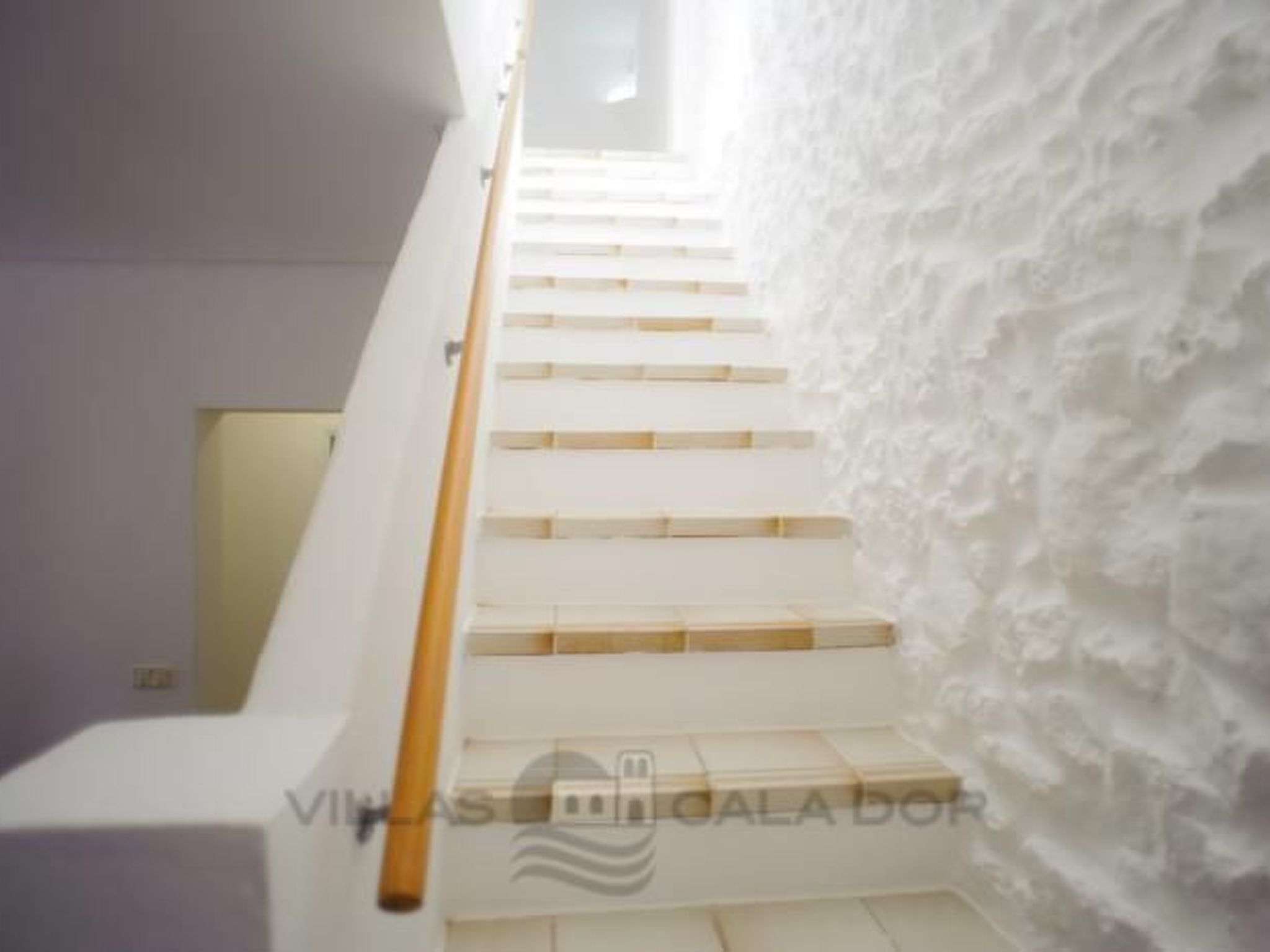 Pineda-Image-tags.info