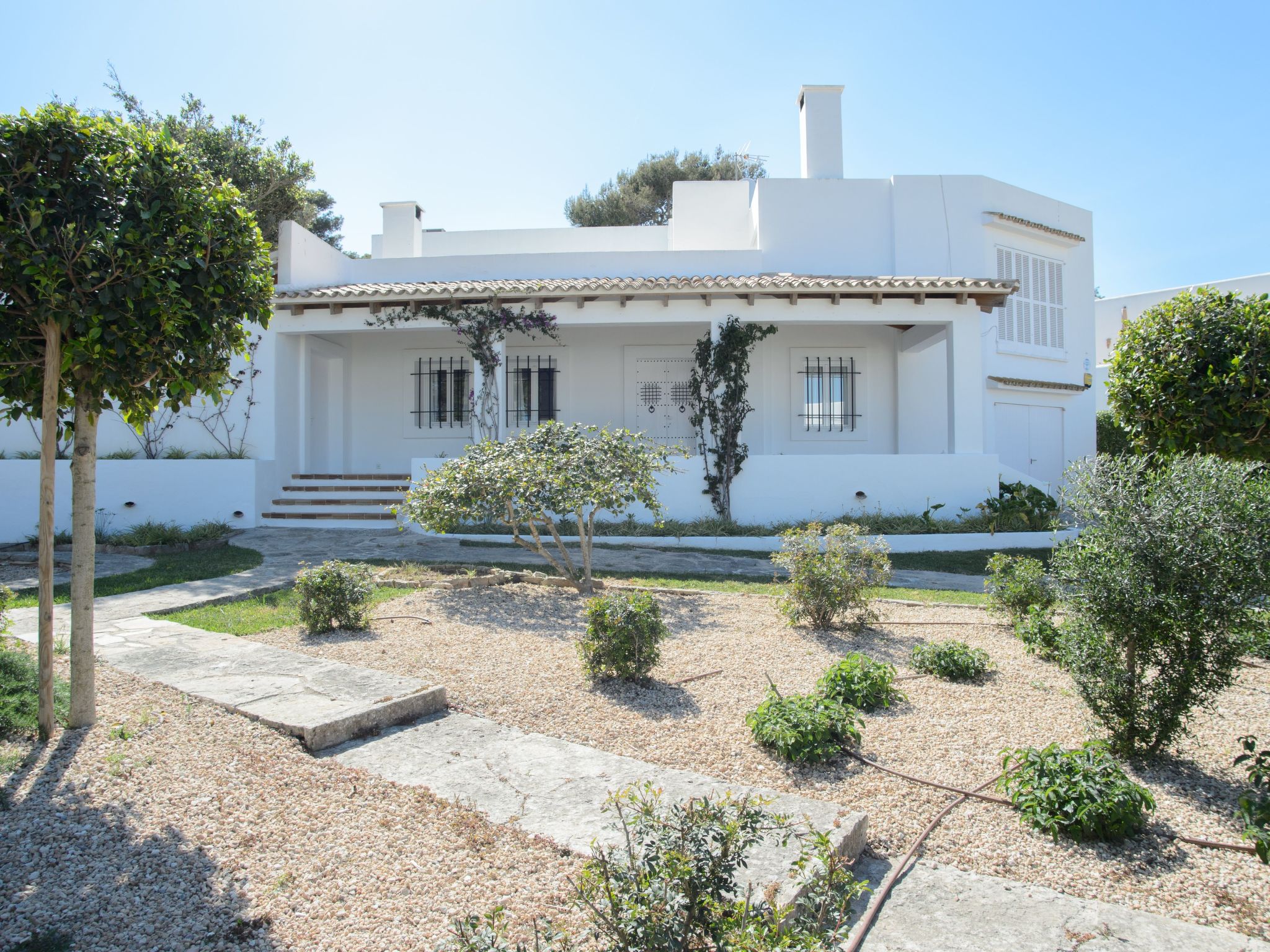 Pineda-Image-tags.info