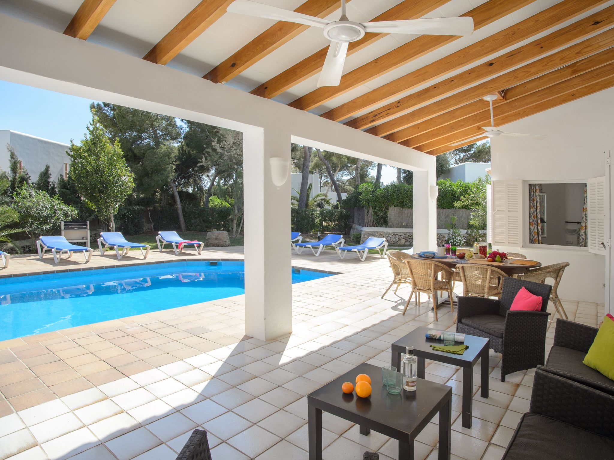 Pineda-Image-tags.info