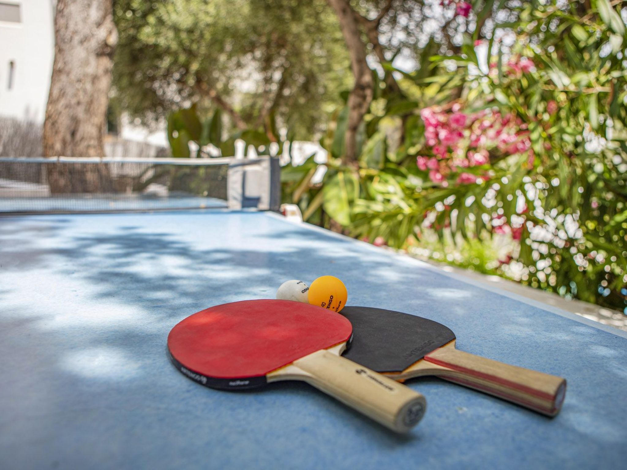 Villa Cala d'or cerca de la playa-Binnen