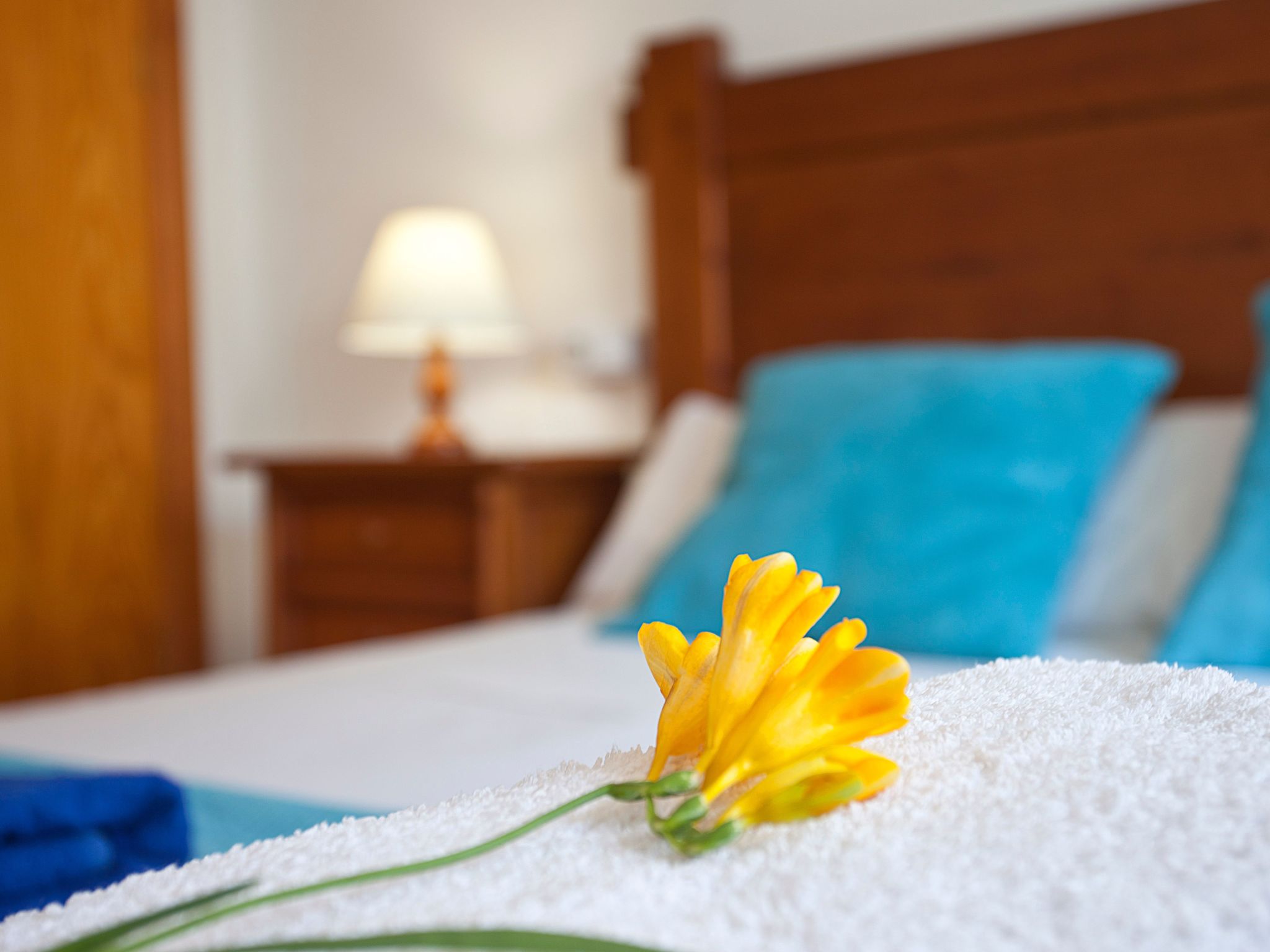 Chalet "Casa Hector" 300m vom Strand und Schwimmbad entfernt-Dedans