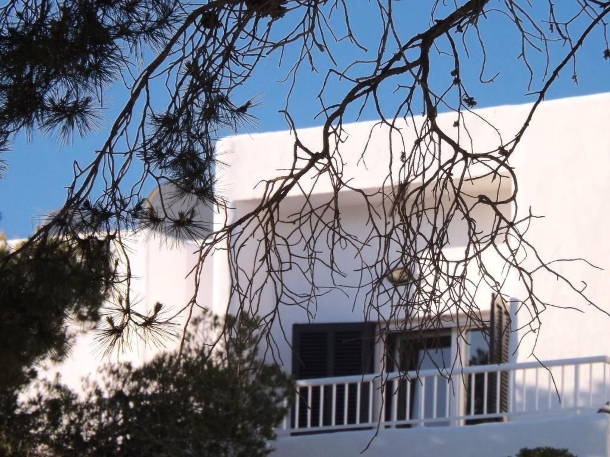 Bungalow con piscina-Binnen